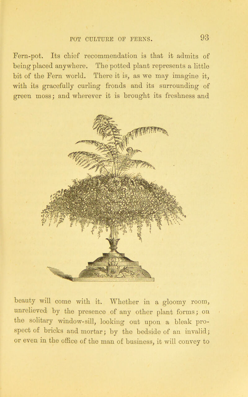 Fern-pot. Its cliief recommendation is that it admits of being placed anywhere. The potted plant represents a little bit of the Fern world. There it is^ as we may imagine it, with its gracefully curling fronds and its surrounding of green moss; and wherever it is brought its freshness and beauty will come with it. Whether in a gloomy room, unrelieved by the presence of any other plant forms; on the solitary window-sill, looking out upon a bleak pro- spect of bricks and mortar; by the bedside of an invalid; or even in the office of the man of business, it will convey to