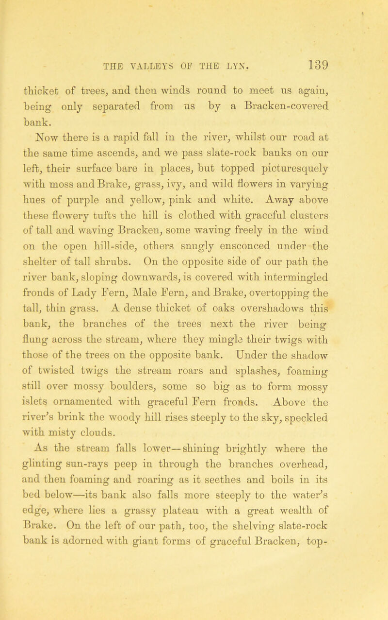 tliickefc of treeSj and then winds round to meet ns again, being only separated from ns by a Bracken-covered bank. Now there is a rapid fall in the river, whilst our road at the same time ascends, and we pass slate-rock banks on our left, their surface bare in places, but topped picturesquely with moss and Brake, grass, ivy, and wild flowers in varying hues of purple and yellow, pink and white. Away above these flowery tufts the hill is clothed with graceful clusters of tall and waving Bracken, some waving freely in the wind on the open hill-side, others snugly ensconced under the shelter of tall shrubs. On the opposite side of our path the river bank, sloping downwards, is covered with intermingled fronds of Lady Fern, Male Fern, and Brake, overtopping the tall, thin grass. A dense thicket of oaks overshadows this bank, the branches of the trees next the river being flung across the stream, where they mingle their twigs with those of the trees on the opposite bank. Under the shadow of twisted twigs the stream roars and splashes, foaming still over mossy bouldei’S, some so big as to form mossy islets ornamented with graceful Feni fronds. Above the river^s brink the woody hill rises steeply to the sky, speckled with misty clouds. As the stream falls lower—shining brightly where the glinting sun-rays peep in through the branches overhead, and then foaming and roaring as it seethes and boils in its bed below—its bank also falls more steeply to the water's edge, where lies a grassy plateau with a great wealth of Brake. On the left of our path, too, the shelving slate-rock bank is adorned with giant forms of graceful Bracken, top-