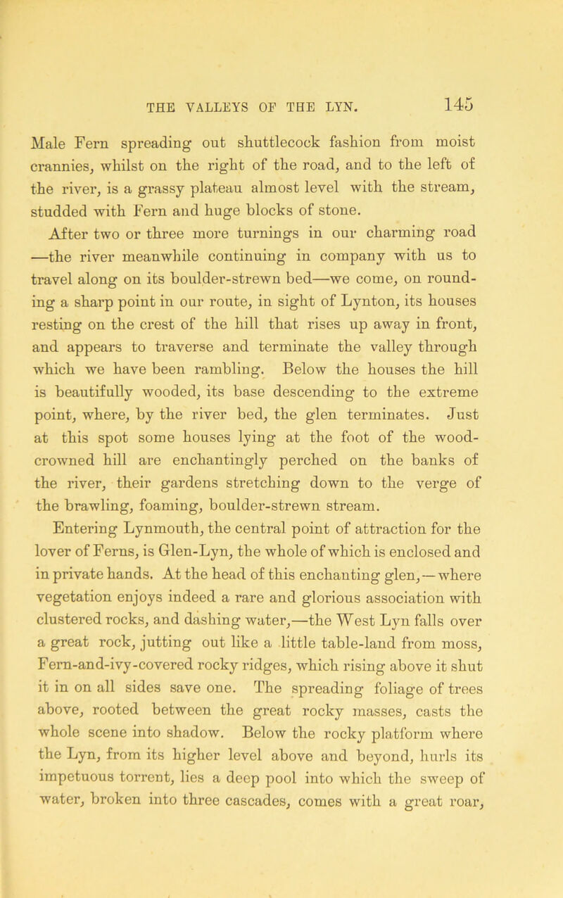 Male Fern spreading out sFuttlecock fashion from moist crannies^ whilst on the right of the road, and to the left of the river, is a grassy plateau almost level with the stream, studded with Fern and huge blocks of stone. After two or three more turnings in our charming road —the river meanwhile continuing in company with us to travel along on its boulder-strewn bed—we come, on round- ing a sharp point in our route, in sight of Lynton, its houses resting on the crest of the hill that rises up away in front, and appears to traverse and terminate the valley through which we have been rambling. Below the houses the hill is beautifully wooded, its base descending to the extreme point, where, by the river bed, the glen terminates. Just at this spot some houses lying at the foot of the wood- crowned hill ai’e enchantingly perched on the banks of the river, their gardens stretching down to the verge of the brawling, foaming, boulder-strewn stream. Entering Lynmouth, the central point of attraction for the lover of Ferns, is Glen-Lyn, the whole of which is enclosed and in private hands. At the head of this enchanting glen, — where vegetation enjoys indeed a rare and glorious association with clustered rocks, and dashing water,—the West Lyn falls over a great rock, jutting out like a little table-land from moss, Fem-and-ivy-covered rocky ridges, which rising above it shut it in on all sides save one. The spreading foliag’e of trees above, rooted between the great rocky masses, casts the whole scene into shadow. Below the rocky platform where the Lyn, from its higher level above and beyond, hurls its impetuous torrent, lies a deep pool into which the sweep of water, broken into three cascades, comes with a great roar.
