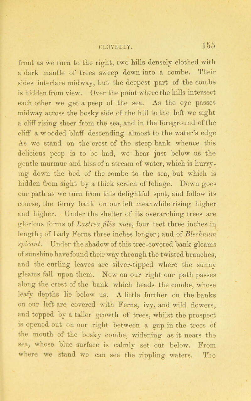 front as we turn to the right, two hills densely clothed with a dark mantle of trees sweep down into a combe. Their sides interlace midway, but the deepest part of the combe is hidden from view. Over the point where the hills intersect each other we get a peep of the sea. As the eye passes midway across the bosky side of the hill to the left we sight a cliff rising sheer from the sea, and in the foreground of the cliff a wooded bluff descending almost to the water^s edge As we stand on the crest of the steep bank whence this delicious peep is to be had, we hear just below us the gentle murmur and hiss of a stream of water, which is hurry- ing down the bed of the combe to the sea, but which is hidden from sight by a thick screen of foliage. Down goes our path as we turn from this delightful spot, and follow its course, the ferny bank on our left meanwhile rising higher and higher. Under the shelter of its overarching trees are glorious forms of Lastrea jilix mas, four feet three inches in length; of Lady Ferns three inches longer; and of Blechnum spicant. Under the shadow of this tree-covered bank gleams of sunshine have found their way through the twisted branches, and the curling leaves are silver-tipped where the sunny gleams fall upon them. Now on our right our path passes along the crest of the bank which heads the combe, whose leafy depths lie below us. A little further on the banks on our left are covered with Ferns, ivy, and wild flowers, and topped by a taller growth of trees, whilst the prospect is opened out on our right between a gap in the trees of the mouth of the bosky combe, widening as it nears the sea, whose blue surface is calmly set out below. From where we stand we can see the rippling waters. The