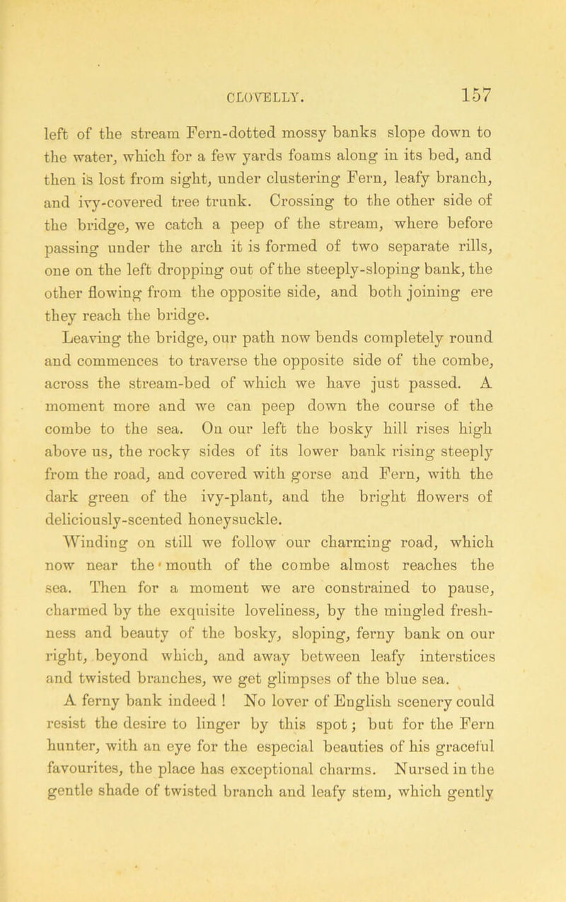 left of the stream Fern-dotted mossy banks slope down to the water, which for a few yards foams along in its bed, and then is lost from sight, under clustering Fern, leafy branch, and ivy-covered tree trunk. Crossing to the other side of the bridge, we catch a peep of the stream, where before passing under the arch it is formed of two separate rills, one on the left dropping out of the steeply-sloping bank, the other flowing from the opposite side, and both joining ere they reach the bridge. Leaving the bridge, our path now bends completely round and commences to traverse the opposite side of the combe, across the stream-bed of which we have just passed. A moment moi'e and we can peep down the course of the combe to the sea. On our left the bosky hill rises high above us, the rocky sides of its lower bank rising steeply from the road, and covered with gorse and Fern, with the dark green of the ivy-plant, and the bright flowers of deliciously-scented honeysuckle. Winding on still we follow our charming road, which now near the'mouth of the combe almost reaches the sea. Then for a moment we are constrained to pause, charmed by the exquisite loveliness, by the mingled fresh- ness and beauty of the bosky, sloping, ferny bank on our right, beyond which, and away between leafy interstices and twisted branches, we get glimpses of the blue sea. A ferny bank indeed ! No lover of Euglish scenery could resist the desire to linger by this spot; but for the Fern hunter, with an eye for the especial beauties of his gracei'ul favourites, the place has exceptional charms. Nursed in the gentle shade of twisted branch and leafy stem, which gently