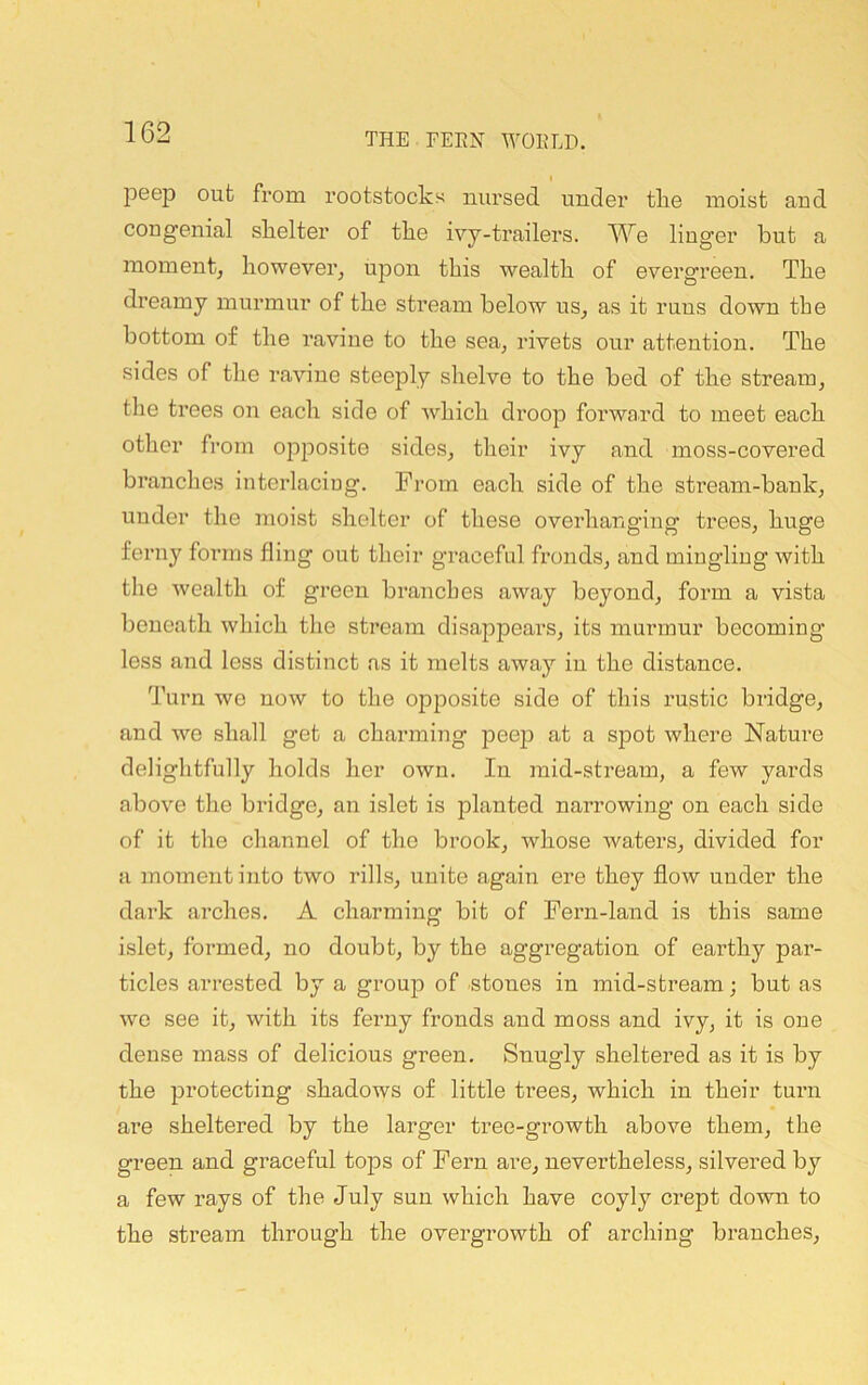 peep out from rootstocks nursed under tlie moist aud congenial skelter of the ivy-trailers. We linger but a moment, however, upon this wealth of evergreen. The dreamy murmur of the stream below us, as it runs down the bottom of the ravine to the sea, rivets our attention. The sides of the ravine steeply shelve to the bed of the stream, tlie trees on each side of which droop forward to meet each otlier from opposite sides, their ivy and moss-covered branches interlacing. From each side of the stream-bank, under the moist shelter of these overhanging trees, huge ferny forms fling out their graceful fronds, and mingling with the wealth of green branches away beyond, form a vista beneath which the stream disappears, its murmur becoming less and less distinct as it melts away in the distance. Turn we now to the opposite side of this rustic bridge, and we shall get a charming peej? at a spot where Nature delightfully holds her own. In mid-stream, a few yards above the bridge, an islet is planted narrowing on each side of it the channel of the brook, whose waters, divided for a moment into two rills, unite again ere they flow under the dark arches. A charming bit of Fern-land is this same islet, formed, no doubt, by the aggregation of earthy par- ticles arrested by a grou]D of -stones in mid-stream; but as wo see it, with its ferny fronds and moss and ivy, it is one dense mass of delicious green. Snugly sheltered as it is by the protecting shadows of little trees, which in their turn are sheltered by the larger tree-growth above them, the green and graceful tops of Fern are, nevertheless, silvered by a few rays of the July sun which have coyly crept down to the stream through the overgrowth of arching branches.