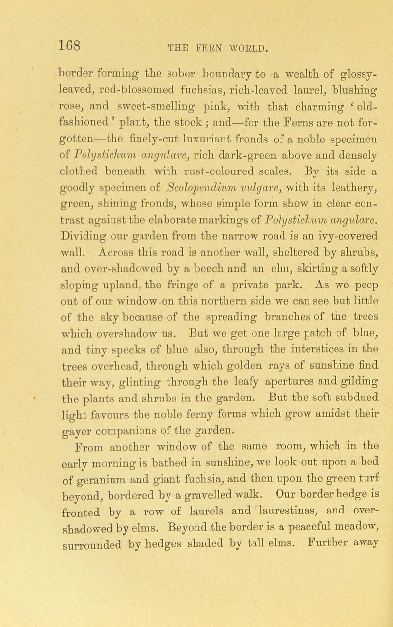 border forming the sober boundary to a wealth of glossy- leavedj red-blossomed fuchsias, rich-leaved laurel, blushing rose, and sweet-smelling pink, with that charming ^ old- fashioned ^ plant, the stock 3 and—for the Ferns are not for- gotten—the finely-cut luxuriant fronds of a noble specimen of PolysticJmm angnlare, rich dark-green above and densely clothed beneath with rust-coloured scales. Bj'- its side a goodly specimen of Scolopendium vulgare, Avith its leathery, green, shining fronds, whose simple form show in clear con- trast against the elaborate markings of Polysticimm angulare. Dividing our garden from the iiarrow road is an ivy-covered Avail. Across this road is another wall, sheltered by shrubs, and over-shadoAved by a beech and an elm, skirting a softly sloping upland, the fringe of a private park. As we peep out of our Avindow on this northern side we can see but little of the sky because of the spreading branches of the trees Avhich overshadow us. But Ave get one large patch of blue, and tiny specks of blue also, through the interstices in the trees overhead, through which golden rays of sunshine find their way, glinting through the leafy apertures and gilding the plants and shrubs in the garden. But the soft subdued light favours the noble ferny forms which grow amidst their gayer companions of the garden. From another window of the same room, which in the early morning is bathed in sunshine, we look out upon a bed of geranium and giant fuchsia, and then upon the green turf beyond, bordered by a gravelled walk. Our border hedge is fronted by a row of laurels and laurestinas, and over- shadowed by elms. Beyond the border is a peaceful meadow, surrounded by hedges shaded by tall elms. Further away