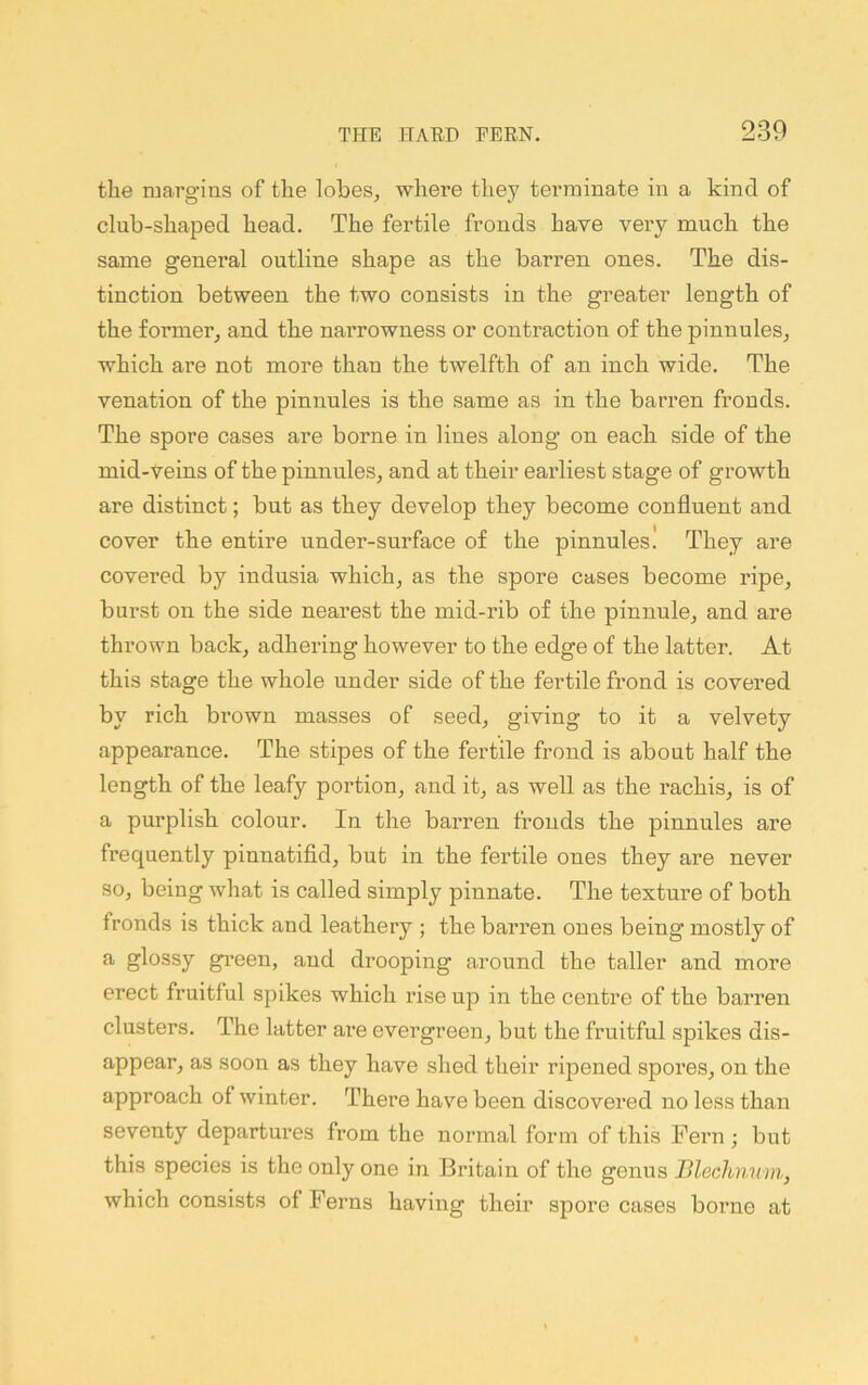 the margins of the lobes, where they terminate in a kind of club-shaped head. The fertile fronds have very much the same general outline shape as the barren ones. The dis- tinction between the two consists in the greater length of the foi’mer, and the narrowness or contraction of the pinnules, which are not more than the twelfth of an inch wide. The venation of the pinnules is the same as in the barren fronds. The spore cases are borne in lines along on each side of the mid-veins of the pinnules, and at their earliest stage of growth are distinct; but as they develop they become confluent and cover the entire under-surface of the pinnules! They are covered by indusia which, as the spore cases become ripe, burst on the side nearest the mid-rib of the pinnule, and are thrown back, adhering however to the edge of the latter. At this stage the whole under side of the fertile frond is covered by rich brown masses of seed, giving to it a velvety appearance. The stipes of the fertile frond is about half the length of the leafy portion, and it, as well as the rachis, is of a purplish colour. In the barren fronds the pinnules are frequently pinnatifid, but in the fertile ones they are never so, being what is called simply pinnate. The texture of both fronds is thick and leathery ; the barren ones being mostly of a glossy gi’een, and drooping around the taller and more erect fruitful spikes which rise up in the centre of the barren clusters. The latter are evergreen, but the fruitful spikes dis- appear, as soon as they have shed their rijoened spoi'es, on the approach of winter. There have been discovered no less than seventy departm*es from the normal form of this Pern ; but this species is the only one in Britain of the genus BlecJmvm, which consists of Ferns having their spore cases borne at