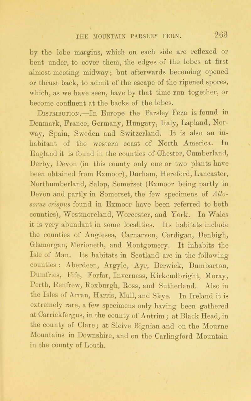 THE MOUNTAIN PARSLEY PERN. by the lobe mai’gins, which on each side are reflexed or bent under, to cover them, the edges of the lobes at first almost meeting midway; but afterwards becoming opened or thrust back, to admit of the escape of the ripened spores, which, as we have seen, have by that time run together, or become confluent at the backs of the lobes. Distribution.—In Europe the Parsley Fern is found in Denmai’k, France, Germany, Hungary, Italy, Lapland, Nor- way, Spain, Sweden and Switzerland. It is also an in- habitant of the western coast of North America. In England it is found in the counties of Chester, Cumberland, Derby, Devon (in this county only one or two plants have been obtained from Exmoor), Durham, Hereford, Lancaster, Northumberland, Salop, Somerset (Exmoor being partly in Devon and partly in Somerset, the few specimens of Allo- sorus crispus found in Exmoor have been referred to both counties), Westmoreland, Worcester, and York. In Wales it is very abundant in some localities. Its habitats include the counties of Anglesea, Carnarvon, Cardigan, Denbigh, Glamorgan, Merioneth, and Montgomery. It inhabits the Isle of Man. Its habitats in Scotland are in the following counties: Aberdeen, Argyle, Ayr, Berwick, Dumbarton, Dumfries, Fife, Forfar, Inverness, Kirkcndbright, Moray, I’erth, Renfrew, Roxburgh, Ross, and Sutherland. Also in the Isles of Arran, Harris, Mull, and Skye. In Ireland it is extremely rare, a few specimens only having been gathered at Carrickfergus, in the county of Antrim; at Black Head, in the county of Clare; at Sleive Bignian and on the Mourne Mountains in Downshire, and on the Carlingford Mountain in the county of Louth.