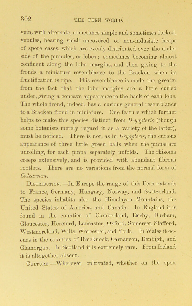 vein^ with alternate, sometimes simple and sometimes forked, venules, bearing small uncovered or non-indusiate heaps of spore cases, which are evenly distributed over the under side of the pinnules, or lobes ; sometimes becoming almost confluent along the lobe margins, and then giving to the fronds a miniature resemblance to the Bracken when its fructification is ripe. This resemblance is made the greater from tlic fact that the lobe margins are a little curled under, giving a concave appearance to the back of each lobe. The whole frond, indeed, has a curious general resemblance to a Bracken frond in miniature. One feature which further helps to make this species distinct from Dryojjteris (though somo botanists merely regard it as a variety of the latter), must be noticed. There is not, as in DryopterLs, the curious appearance of three little green balls when the piunse are unrolling, for each pinna separately unfolds. The rhizoma creeps extensively, and is provided with abundant fibrous rootlets. There are no variations from the normal form of Calcareum. .Distribution.—In Europe the range of this Fern extends to France, Germany, Hungary, Norway, and Switzerland. The species inhabits also the Himalayan Mountains, the United States- of Amei’ica, and Canada. In England it is found in the counties of Cumberland, Derby, Durham, Gloucester, Hereford, Lancaster, Oxford, Somerset, Stafford, Westmoreland, Wilts, Worcester, and York. In Wales it oc- curs in the counties of Brecknock, Carnarvon, Denbigh, and Glamorgan. In Scotland it is extremely rare. From Ireland it is altogether absent. Culture.—Wherever cultivated, whether on the open