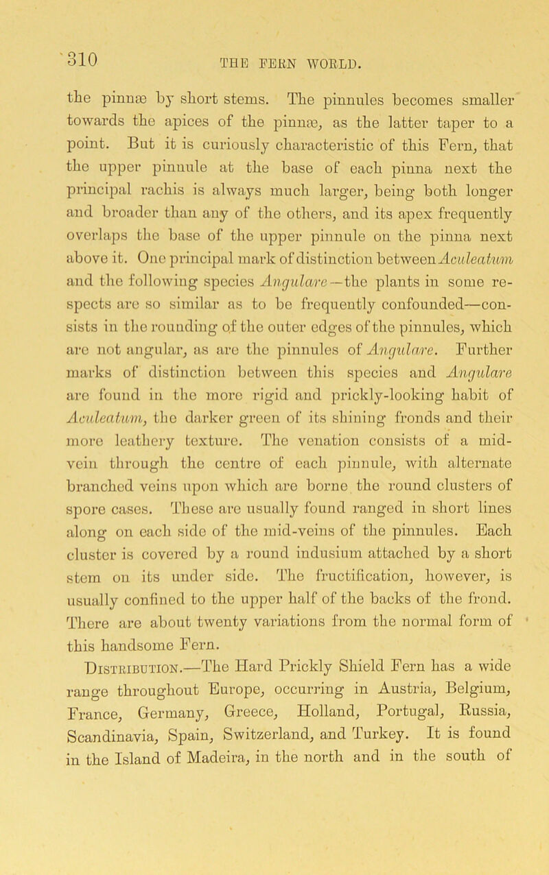 the piuu33 by short stems. The pinnules becomes smaller towards the apices of the pinnaa^ as the latter taper to a point. But it is curiously characteristic of this Peru, that the upper pinnule at the base of each pinna next the princijaal I’achis is always much lai’ger, being both longer and broader than any of the others, and its apex frequently overlaps the base of the upper pinnule on the pinna next above it. One principal mark of distinction hetyveen AculeafMm and the following species Angularc~t\ie plants in some re- spects are so similar as to be frequently confounded—con- sists in tlie rounding of the outer edges of the pinnules, which are not angular, as are the pinnules of Ancjulare. Purther marks of distinction between this species and Angulare are found in the more rigid and prickly-looking habit of Aculeaf/um, the darker green of its shining fronds and their more leathery texture. The venation consists of a mid- vein through the centre of each pinnule, with alternate branched veins upon which are borne the round clusters of spore cases. These are usually found ranged in short lines along on each side of the mid-veins of the pinnules. Each cluster is covered by a round indusimn attached by a short stem on its under side. The fructification, however, is usually confined to the upper half of the backs of the frond. There are about twenty variations from the normal form of ' this handsome Pern. Distribution.—The Hard Prickly Shield Pern has a wide range throughout Europe, occurring in Austria, Belgium, Prance, Germany, Greece, Holland, Portugal, Russia, Scandinavia, Spain, Switzerland, and Turkey. It is found in the Island of Madeira, in the north and in the south of