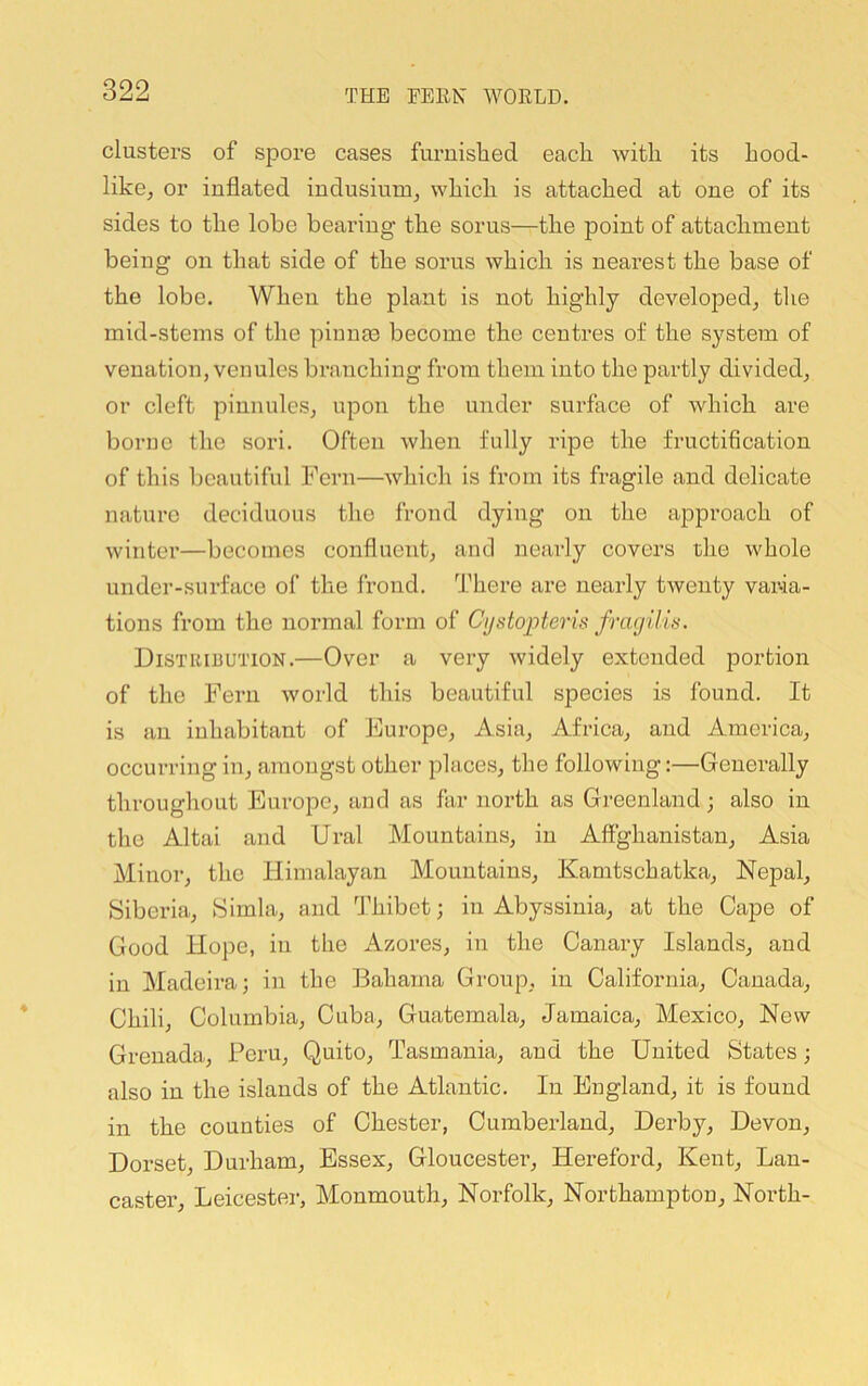 clusters of spore cases fui’iiislied each with its hood- likcj or inflated indusiurOj which is attached at one of its sides to the lobe bearing the sorus—the point of attachment being on that side of the sorus which is nearest the base of the lobe. When the plant is not highly developed^ the mid-stems of the pinnas become the centres of the system of venation, venules branching from them into the partly divided, or cleft pinnules, upon the under surface of which are borne the sori. Often when fully ripe the fructification of this beautiful Fern—which is from its fragile and delicate nature deciduous the frond dying on the approach of winter—becomes confluent, and nearly covers the whole under-surface of the frond. There are nearly twenty varia- tions from the normal form of Ctjstopteris fragilis. Distribution.—Over a very widely extended portion of the Fern world this beautiful species is found. It is an inhabitant of Europe, Asia, Africa, and America, occurring in, amongst other places, the following:—Generally throughout Europe, and as far north as Greenland; also in the Altai and Ural Mountains, in Afighanistau, Asia Minor, the Himalayan Mountains, Kamtschatka, Nepal, Siberia, Simla, and I'hibet; in Abyssinia, at the Cape of Good Hope, in the Azores, in the Canary Islands, and in Madeira; in the Bahama Group, in California, Canada, Chili, Columbia, Cuba, Guatemala, Jamaica, Mexico, New Grenada, Peru, Quito, Tasmania, and the United States; also in the islands of the Atlantic. In England, it is found in the counties of Chester, Cumberland, Derby, Devon, Dorset, Durham, Essex, Gloucester, Hereford, Kent, Lan- caster, Leicester, Monmouth, Norfolk, Northampton, North-
