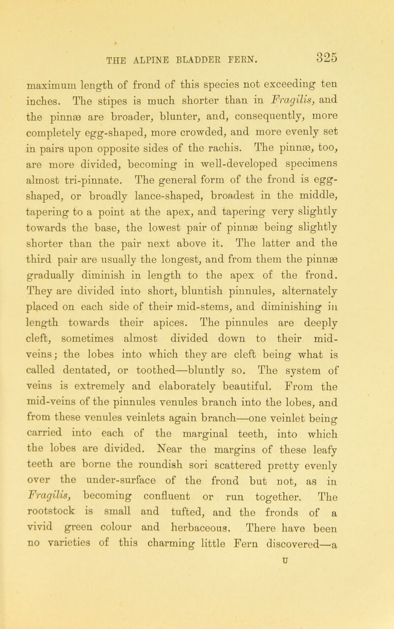 maximum length of frond of this species not exceeding ten inches. The stipes is much shorter than in Fragilis, and the pinnte are broader, blunter, and, conseqnently, more completely egg-shaped, more crowded, and more evenly set in pairs upon opposite sides of the rachis. The pinnae, too, are more divided, becoming in well-developed specimens almost tri-pinnate. The general form of the frond is egg- shaped, or broadly lance-shaped, broadest in the middle, tapering to a point at the apex, and tapering very slightly towards the base, the lowest pair of pinnae being slightly shorter than the pair next above it. The latter and the third pair are usually the longest, and from them the pinnae gradually diminish in length to the apex of the frond. They are divided into short, bluntish pinnnles, alternately placed on each side of their mid-stems, and diminishing in length towards their apices. The pinnules are deeply cleft, sometimes almost divided down to their mid- veins; the lobes into which they are cleft being what is called dentated, or toothed—bluntly so. The system of veins is extremely and elaborately beautiful. From the mid-veins of the pinnules venules branch into the lobes, and from these venules veinlets again branch—one veinlet being carried into each of the marginal teeth, into which the lobes are divided. Near the margins of these leafy teeth are borne the roundish sori scattered pretty evenly over the under-surface of the frond but not, as in Fragilis, becoming confluent or run together. The rootstock is small and tufted, and the fronds of a vivid green colour and herbaceous. There have been no varieties of this charming little Fern discovered—a u