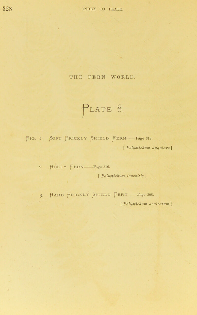 THE FERN WORLD. r LATE 8. j^lG. 1. ^OFT J^RICKLY ^HIELD |^ERN Pago 312. f Polystichum anyulare^ 2. |-iOLLY j^ERN -Page 310. [ Polystichum lonchitis~\ 5. I^ARD j^RICKLY ^HIELD j^ERN Pugo 308. [ Polystic/ium aculealum]