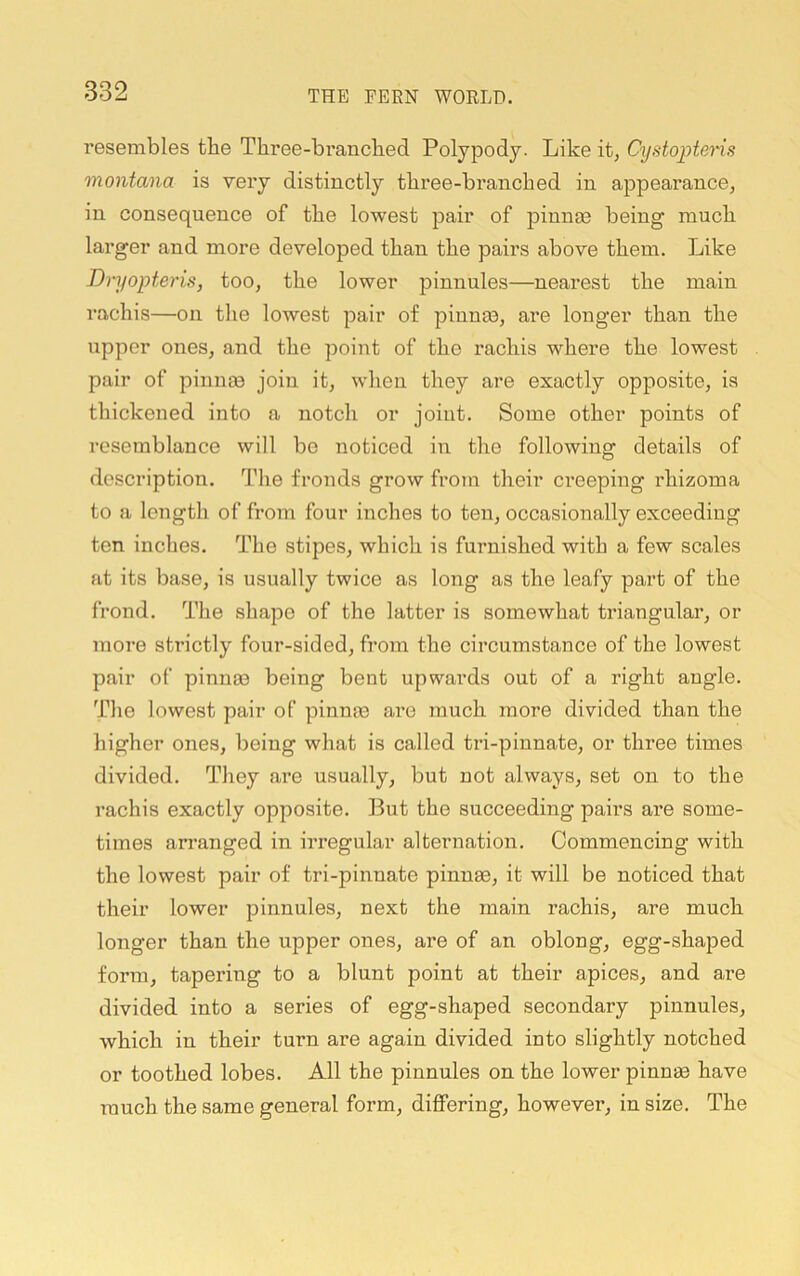 resembles the Three-branclied Polypody. Like it, Cydopteris montana is very distinctly three-branched in appearance, in consequence of the lowest pair of pinnm being’ much larger and more developed than the pairs above them. Like Dryopteris, too, the lower pinnules—nearest the main rachis—on the lowest pair of piunm, are longer than the upper ones, and the point of the rachis where the lowest pair of piunas join it, when they are exactly opposite, is thickened into a notch or joint. Some other points of resemblance will be noticed in the following details of description. The fronds grow from their creeping rhizoma to a length of from four inches to ten, occasionally exceeding ten inches. The stipes, which is furnished with a few scales at its base, is usually twice as long as the leafy part of the frond. The shape of the latter is somewhat triangular, or more strictly four-sided, from the circumstance of the lowest pair of pinnas being bent upwards out of a right angle. Tlie lowest pair of pinnas are much more divided than the higher ones, being what is called tri-piunate, or three times divided. They are usually, but not always, set on to the rachis exactly opposite. But the succeeding pairs are some- times arranged in irregular alternation. Commencing with the lowest pair of tri-pinnate pinnas, it will be noticed that their lower pinnules, next the main rachis, are much longer than the upper ones, are of an oblong, egg-shaped form, tapering to a blunt point at their apices, and are divided into a series of egg-shaped secondary pinnules, which in their turn are again divided into slightly notched or toothed lobes. All the pinnules on the lower pinnae have much the same general form, differing, however, in size. The