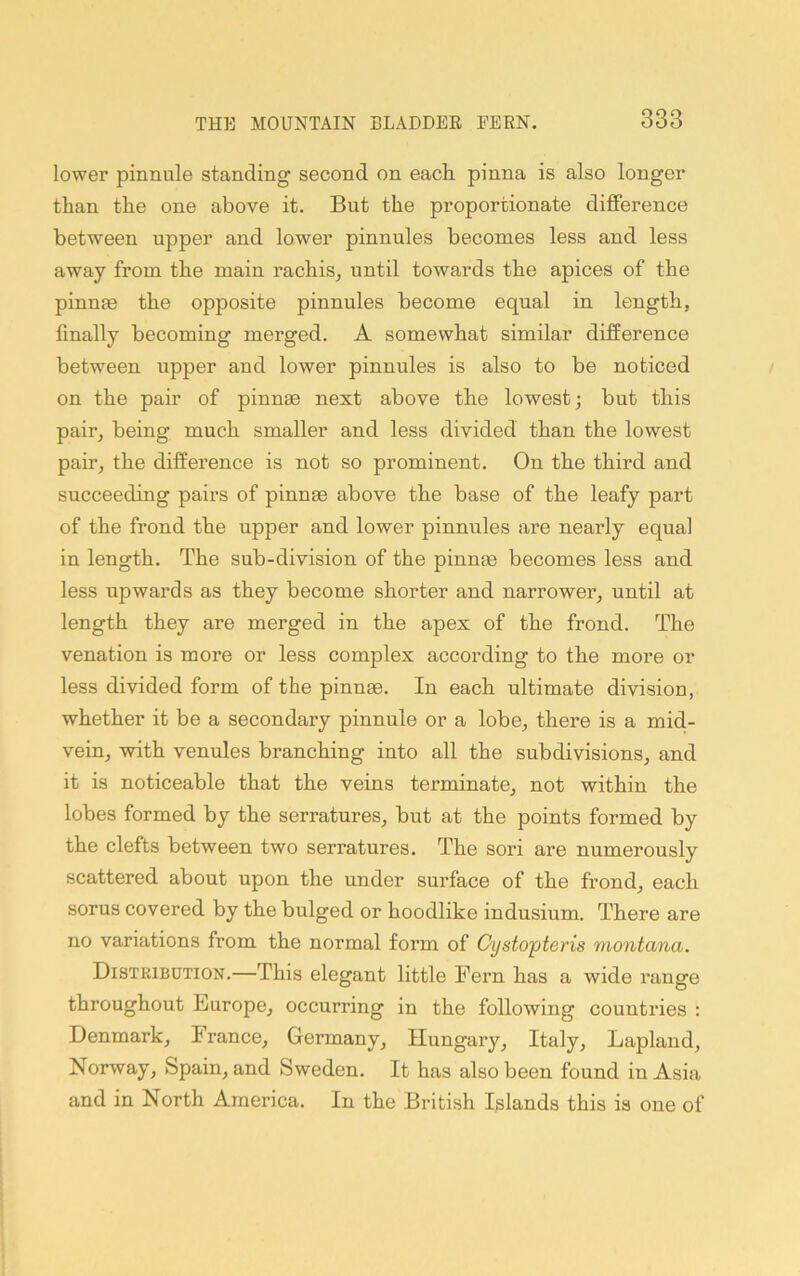 lower pinnule standing second on each pinna is also longer than the one above it. But the proportionate difference between upper and lower pinnules becomes less and less away from the main rachis, until towards the apices of the pinnae the opposite pinnules become equal in length, finally becoming merged. A somewhat similar difference between upper and lower pinnules is also to be noticed on the pair of pinnae next above the lowest; but this pair, being much smaller and less divided than the lowest pair, the difference is not so prominent. On the third and succeeding pairs of pinnae above the base of the leafy part of the frond the upper and lower pinnules are nearly equal in length. The sub-division of the pinnae becomes less and less upwards as they become shorter and narrower, until at length they are merged in the apex of the frond. The venation is more or less complex according to the more or less divided form of the pinnae. In each ultimate division, whether it be a secondary pinnule or a lobe, there is a mid- vein, with venules branching into all the subdivisions, and it is noticeable that the veins terminate, not within the lobes formed by the serratures, but at the points formed by the clefts between two serratures. The sori are numerously scattered about upon the under surface of the frond, each sorus covered by the bulged or hoodlike indusium. There are no variations from the normal form of Cystopteris montana. Distkibdtion.—This elegant little Fern has a wide range throughout Europe, occurring in the following countries : Denmark, France, Germany, Hungary, Italy, Lapland, Norway, Spain, and Sweden. It has also been found in Asia and in North America. In the British Islands this is one of