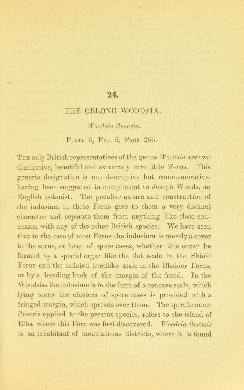 24. THE OBLONG WOODSIA. Woodsia ilvensis. Plate 6, Fig. 5, Page 266. The only British representatives of the genus Woodsia are two diminutive, beautiful and extremely rare little Ferns. This generic designation is not descriptive but commemorative, having been suggested in compliment to Joseph Woods, an English botanist. The peculiar nature and construction of the indusium in these Ferns give to them a very distinct character and sepai’ate them from anything like close con- nexion with any of the other British species. We have seen that in the case of most Ferns the indusium is merely a cover to the sorus, or heap of spore cases, whether this cover be formed by a special organ like the flat scale in the Shield Ferns and the inflated hoodlike scale in the Bladder Ferns, or by a bending back of the margin of the frond. In the Woodsias the indusium is in the form of a concave scale, which lying under the clusters of spore cases is provided with a fringed margin, which spreads over them. The specific name ilvensis applied to the present species, refers to the island of Elba where this Fern was first discovered. Woodsia ilvensis is an inhabitant of mountainous districts, where it is found