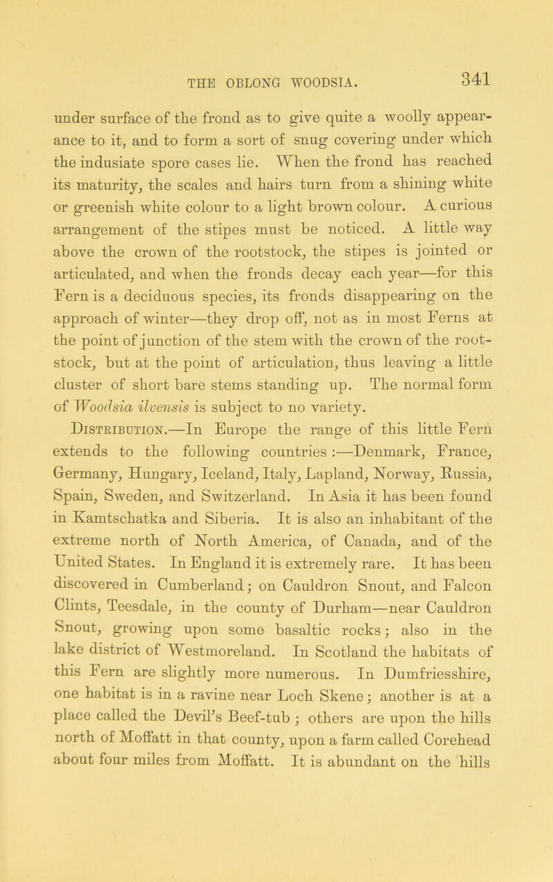 under surface of the frond as to give quite a woolly appear- ance to it, and to form a sort of snug covering under which the indusiate spore cases lie. When the frond has reached its maturity, the scales and hairs turn from a shining white or greenish white colour to a light brown colour. A curious arrangement of the stipes must be noticed. A little way above the crown of the rootstock, the stipes is jointed or articulated, and when the fronds decay each year—for this Fern is a deciduous species, its fronds disappearing on the approach of winter—they drop off, not as in most Ferns at the point of junction of the stem with the crown of the root- stock, but at the point of articulation, thus leaving a little cluster of short bare stems standing up. The normal form of Woodsia ilvensis is subject to no variety. Distribution.—In Europe the range of this little Fern extends to the following countries :—Denmark, France, Germany, Hungary, Iceland, Italy, Lapland, Norway, Eussia, Spain, Sweden, and Switzerland. In Asia it has been found in Kamtschatka and Siberia. It is also an inhabitant of the extreme north of North America, of Canada, and of the United States. In England it is extremely rare. It has been discovered in Cumberland; on Cauldron Snout, and Falcon Clints, Teesdale, in the county of Durham—near Cauldron Snout, growing upon some basaltic rocks; also in the lake district of Westmoreland. In Scotland the habitats of this Fern are slightly more numerous. In Dumfriesshire, one habitat is in a ravine near Loch Skene; another is at a place called the Devihs Beef-tub ; others are upon the hills north of Moffatt in that county, upon a farm called Corehead about four miles from Moffatt. It is abundant on the hills