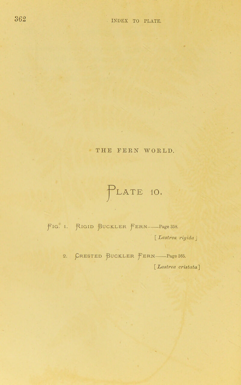 INDEX TO PLATE. f IG. 1 o THE FERN WORLD. '^LATE 10. J j^lGlD jBuCKLER ^ERN Pago 358. [ Lastrea rigida J pRESTED puCKLER ^ERN PagO 365. Lastrea cristata'\