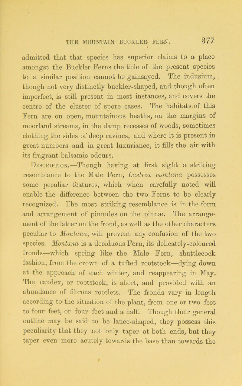 admitted tliat that species lias superior claims to a place amongst the Buckler Ferns the title of the present species to a similar position cannot be gainsayed. The indusium, though not very distinctly buckler-shaped^ and though often imperfectj is still present in most instances, and covers the centre of the cluster of spore cases. The habitats;of this Fern are on open, mountainous heaths, on the margins of moorland streams, in the damp recesses of woods, sometimes clothing the sides of deep ravines, and where it is present in great numbers and in great luxuriance, it fills the air with its fragrant balsamic odours. Description.—Though having at first sight a striking resemblance to the Male Fern, Lastrea montana possesses some peculiar features, which when carefully noted will enable the difference between the two Ferns to be clearly recognized. The most striking resemblance is in the form and arrangement of pinnules on the pinnae. The aiTange- ment of the latter on the frond, as well as the other characters peculiar to Montana, will prevent any confusion of the two species. Montana is a deciduous Fern, its delicately-coloured fronds—which spring like the Male Fern, shuttlecock fashion, from the crown of a tufted rootstock—dying down at the approach of each winter, and reappearing in May. The caudex, or rootstock, is short, and provided with an abundance of fibrous rootlets. The fronds vary in length according to the situation of the plant, from one or two feet to four feet, or four feet and a half. Though their general outline may be said to be lance-shaped, they possess this peculiarity that they not only taper at both ends, but they taper even more acutely towards the base than towards the