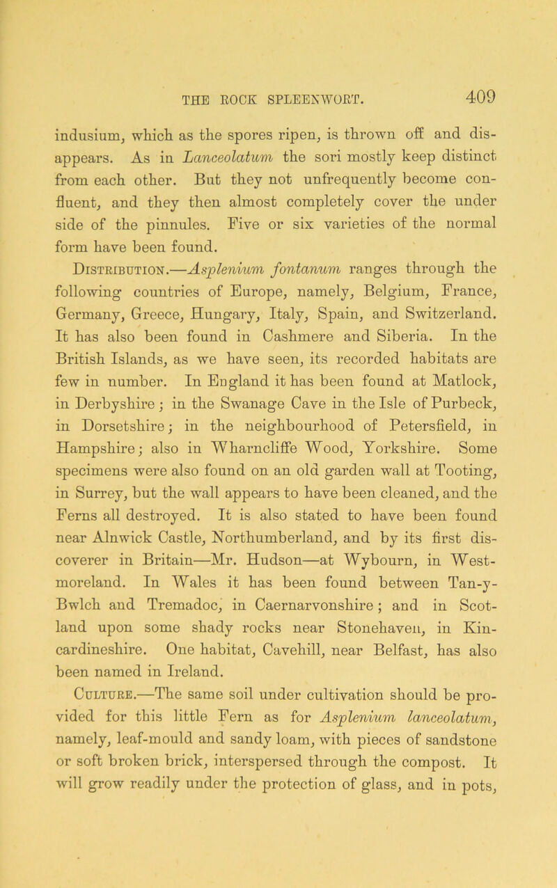 indusium, whicli as the spores ripen^ is thrown off and dis- appears, As in Lanceolaticm the sori mostly keep distinct from each other. But they not unfrequently become con- fluentj and they then almost completely cover the under side of the pinnules. Five or six varieties of the normal form have been found. Distribution.—Asplenium fontanum ranges through the following countries of Europe, namely, Belgium, France, Germany, Greece, Hungary, Italy, Spain, and Switzerland. It has also been found in Cashmere and Siberia. In the British Islands, as we have seen, its recorded habitats are few in number. In England it has been found at Matlock, in Derbyshire ; in the Swanage Cave in the Isle of Purbeck, in Dorsetshire; in the neighbourhood of Petersfield, in Hampshire; also in Wharncliflfe Wood, Yorkshire. Some specimens were also found on an old garden wall at Tooting, in Surrey, but the wall appears to have been cleaned, and the Ferns all destroyed. It is also stated to have been found near Alnwick Castle, Northumberland, and by its first dis- coverer in Britain—Mr. Hudson—at Wybourn, in West- moreland. In Wales it has been found between Tan-y- Bwlch and Tremadoc, in Caernarvonshire ; and in Scot- land upon some shady rocks near Stonehaven, in Kin- cardineshire. One habitat, Cavehill, near Belfast, has also been named in Ireland. Culture.—The same soil under cultivation should be pro- vided for this little Fern as for Asplenium lanceolatum, namely, leaf-mould and sandy loam, with pieces of sandstone or soft broken brick, interspersed through the compost. It will grow readily under the protection of glass, and in pots.