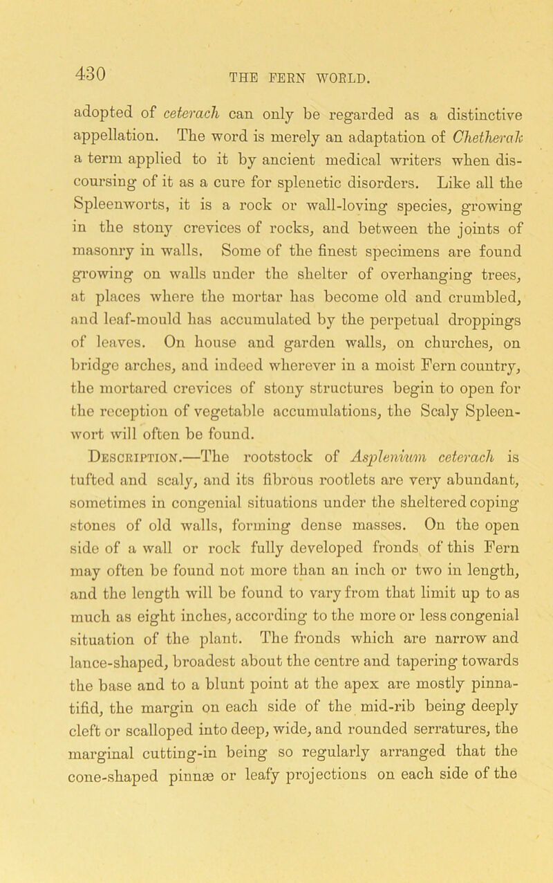 adopted of ceterach can only be regarded as a distinctive appellation. The word is merely an adaptation of Chetheralc a term applied to it by ancient medical writers when dis- coursing of it as a cure for splenetic disorders. Like all the Spleenworts, it is a rock or wall-loving species^ growing in the stony crevices of rocks, and between the joints of masonry in walls. Some of the finest specimens are found gi’owing on walls under the shelter of ovei’hanging trees, at places where the mortar has become old and crumbled, and leaf-mould has accumulated by the perpetual droppings of leaves. On house and garden walls, on churches, on bridge arches, and indeed wherever in a moist Fern country, the mortared crevices of stony structures begin to open for the reception of vegetable accumulations, the Scaly Spleen- wort will often be found. Description.—The rootstock of Asphnmm ceterach is tufted and scaly, and its fibrous rootlets are very abundant, sometimes in congenial situations under the sheltered coping stones of old walls, forming dense masses. On the open side of a wall or rock fully developed fronds of this Fern may often be found not more than an inch or two in length, and the length will be found to vary from that limit up to as much as eight inches, according to the more or less congenial situation of the plant. The fronds which are narrow and lance-shaped, broadest about the centre and tapering towards the base and to a blunt point at the apex are mostly pinna- tifid, the margin on each side of the mid-rib being deeply cleft or scalloped into deep, wide, and rounded serratures, the marginal cutting-in being so regularly arranged that the cone-shaped pinnse or leafy projections on each side of the