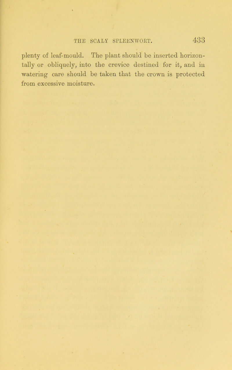 plenty of leaf-mould. The plant should be inserted horizon- tally or obliquely, into the ci’evice destined for it, and in watering care should be taken that the crown is protected from excessive moisture.