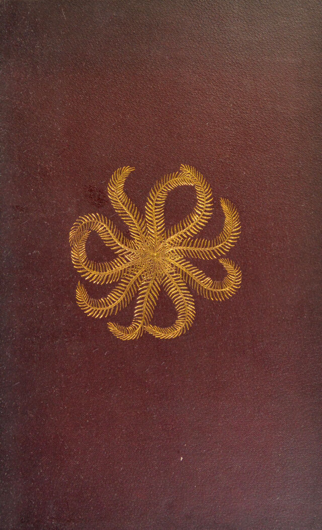 No text description is available for this image