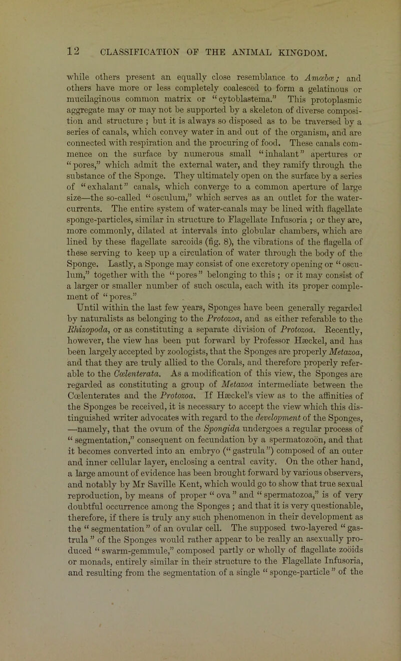 while others present an equally close resemblance to Amoeba;; and others have more or less completely coalesced to form a gelatinous or mucilaginous common matrix or “ cytoblastema.” This protoplasmic aggregate may or may not be supported by a skeleton of diverse composi- tion and structure ; but it is always so disposed as to be traversed by a series of canals, which convey water in and out of the organism, and are connected with respiration and the procuring of food. These canals com- mence on the surface by numerous small “inhalant” apertures or “ pores,” which admit the external water, and they ramify through the substance of the Sponge. They ultimately open on the surface by a series of “ exhalant ” canals, which converge to a common aperture of large size—the so-called “ osculum,” which serves as an outlet for the water- currents. The entire system of water-canals may be lined with flagellate sponge-particles, similar in structure to Flagellate Infusoria ; or they are, more commonly, dilated at intervals into globular chambers, which are lined by these flagellate sarcoids (fig. 8), the vibrations of the flagella of these serving to keep up a circulation of water through the body of the Sponge. Lastly, a Sponge may consist of one excretory opening or “ oscu- lum,” together with the “pores” belonging to this ; or it may consist of a larger or smaller number of such oscula, each with its proper comple- ment of “ pores.” Until within the last few years, Sponges have been generally regarded by naturalists as belonging to the Protozoa, and as either referable to the Rliizopoda, or as constituting a separate division of Protozoa. Recently, however, the view has been put forward by Professor Haeckel, and has been largely accepted by zoologists, that the Sponges are properly Metazoa, and that they are truly allied to the Corals, and therefore properly refer- able to the Ccelenterata. As a modification of this view, the Sponges are regarded as constituting a group of Metazoa intermediate between the Coelenterates and the Protozoa. If Haeckel’s view as to the affinities of the Sponges be received, it is necessary to accept the view which this dis- tinguished writer advocates with regard to the development of the Sponges, —namely, that the ovum of the Spongida undergoes a regular process of “ segmentation,” consequent on fecundation by a spermatozoon, and that it becomes converted into an embryo (“ gastrula ”) composed of an outer and inner cellular layer, enclosing a central cavity. On the other hand, a large amount of evidence has been brought forward by various observers, and notably by Mr Saville Kent, which would go to show that true sexual reproduction, by means of proper “ ova ” and “ spermatozoa,” is of very doubtful occurrence among the Sponges ; and that it is very questionable, therefore, if there is truly any such phenomenon in their development as the “ segmentation ” of an ovular cell. The supposed two-layered “ gas- trula ” of the Sponges would rather appear to be really an asexually pro- duced “ swarm-gemmule,” composed partly or wholly of flagellate zooids or monads, entirely similar in their structure to the Flagellate Infusoria, and resulting from the segmentation of a single “ sponge-particle ” of the