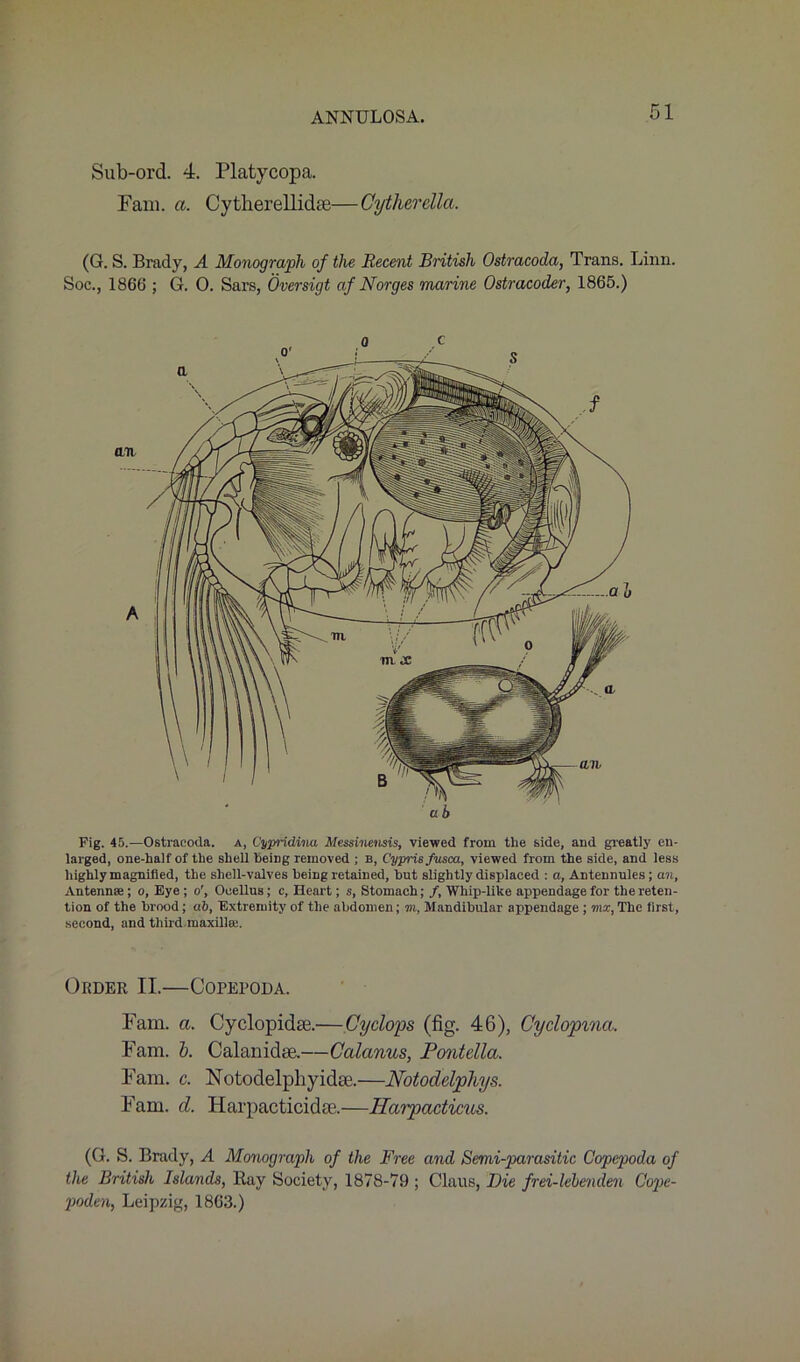 Sub-ord. 4. Platycopa. Fam. a. Cytherellidse—Cytlierclla. (G. S. Brady, A Monograph of the Recent British Ostracoda, Trans. Linn. Soc., 186(5; G. 0. Sai’s, Oversigt af Norges marine Ostracoder, 1865.) Fig. 45.—Ostracoda. a, Cypridima Messinensis, viewed from the side, and greatly en- larged, one-half of the shell being removed ; b, Cyprisfusca, viewed from the side, and less highly magnified, the shell-valves being retained, but slightly displaced : a, Antennules; an, Antennae; o, Eye; o', Ocellus; c, Heart; s, Stomach; /, Whip-like appendage for the reten- tion of the brood; ab, Extremity of the abdomen; to, Mandibular appendage ; mi, The first, second, and third maxilla;. Order II.—Copepoda. Fam. a. Cyclopidse.-—Cyclops (fig. 46), Cyclopina. Fam. b. Calanidse.—Calanus, Pontella. Fam. c. Notodelphyidse.—Notodelpliys. Fam. d. Harpacticidse.—Tlarpadicus. (G. S. Brady, A Monograph of the Free and Semi-parasitic Copepoda of the British Islands, Ray Society, 1878-79 ; Claus, Die frei-lebenden Cope- poden, Leipzig, 1863.)