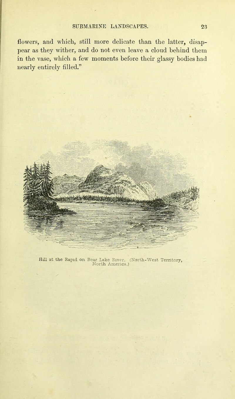 flowers, and which, still more delicate than the latter, disap- pear as they wither, and do not even leave a cloud behind them in the vase, which a few moments before their glassy bodies had nearly entirely filled.” Hill at the Rapid on Bear Lake River. (North-West Territory, North America.)