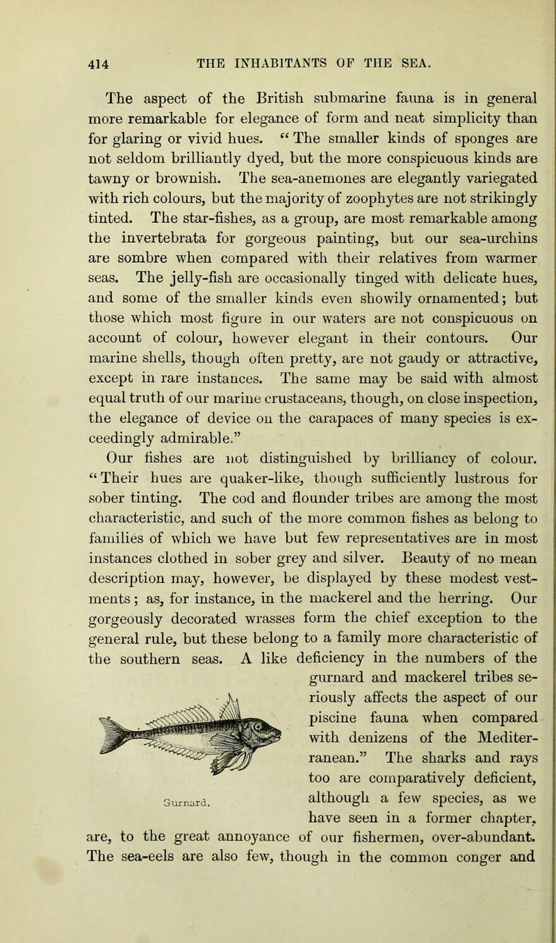 The aspect of the British submarine fauna is in general more remarkable for elegance of form and neat simplicity than for glaring or vivid hues. “ The smaller kinds of sponges are not seldom brilliantly dyed, but the more conspicuous kinds are tawny or brownish. The sea-anemones are elegantly variegated with rich colours, but the majority of zoophytes are not strikingly tinted. The star-fishes, as a group, are most remarkable among the invertebrata for gorgeous painting, but our sea-urchins are sombre when compared with their relatives from warmer seas. The jelly-fish are occasionally tinged with delicate hues, and some of the smaller kinds even showily ornamented; but those which most figure in our waters are not conspicuous on account of colour, however elegant in their contours. Our marine shells, though often pretty, are not gaudy or attractive, except in rare instances. The same may be said with almost equal truth of our marine crustaceans, though, on close inspection, the elegance of device on the carapaces of many species is ex- ceedingly admirable.” Our fishes are not distinguished by brilliancy of colour. “ Their hues are quaker-like, though sufficiently lustrous for sober tinting. The cod and flounder tribes are among the most characteristic, and such of the more common fishes as belong to families of which we have but few representatives are in most instances clothed in sober grey and silver. Beauty of no mean description may, however, be displayed by these modest vest- ments ; as, for instance, in the mackerel and the herring. Our gorgeously decorated wrasses form the chief exception to the general rule, but these belong to a family more characteristic of the southern seas. A like deficiency in the numbers of the gurnard and mackerel tribes se- riously affects the aspect of our piscine fauna when compared with denizens of the Mediter- ranean.” The sharks and rays too are comparatively deficient, although a few species, as we have seen in a former chapter, are, to the great annoyance of our fishermen, over-abundant. The sea-eels are also few, though in the common conger and Gurnard.