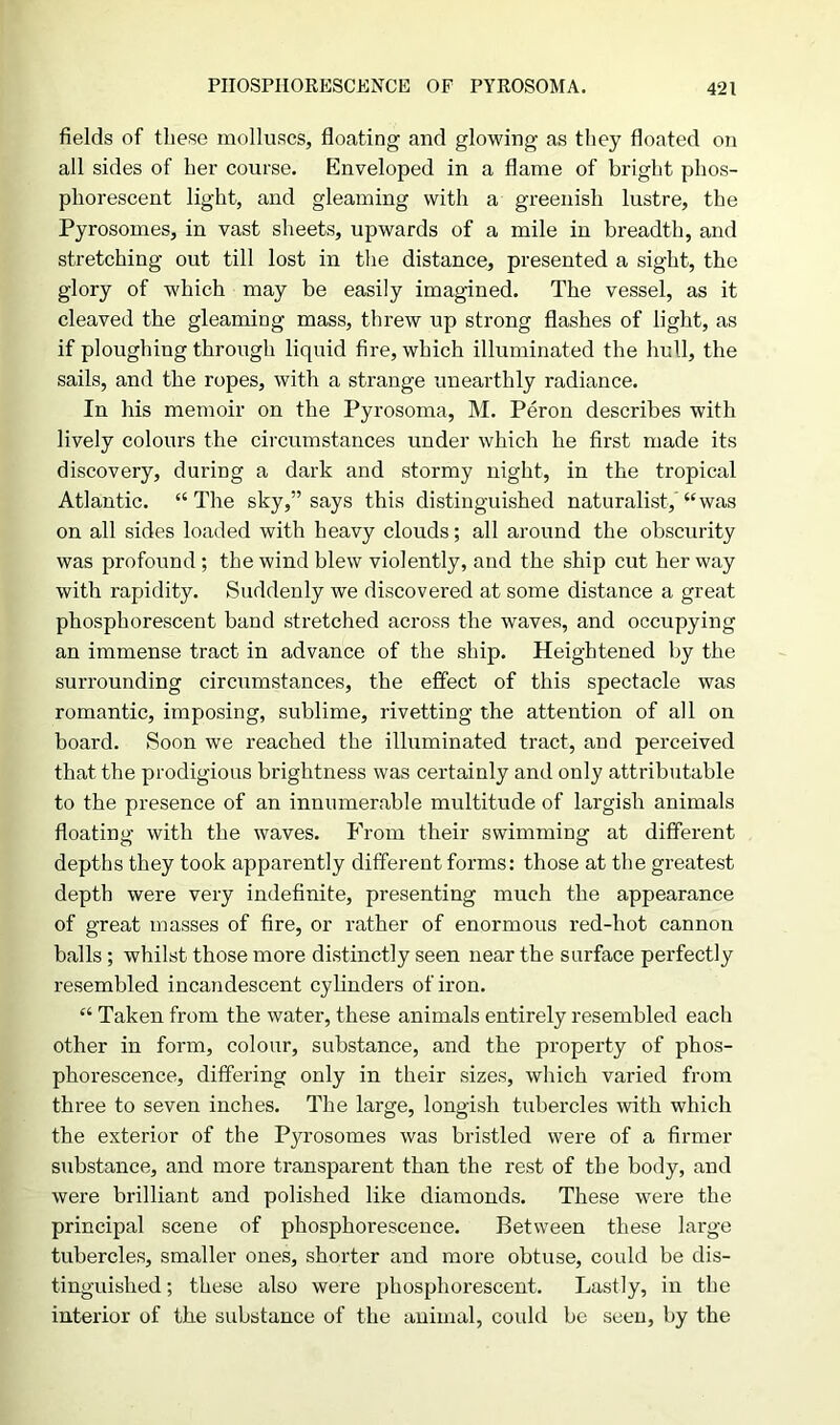 fields of these molluscs, floating and glowing as they floated on all sides of her course. Enveloped in a flame of bright phos- phorescent light, and gleaming with a greenish lustre, the Pyrosomes, in vast sheets, upwards of a mile in breadth, and stretching out till lost in the distance, presented a sight, the glory of which may be easily imagined. The vessel, as it cleaved the gleaming mass, threw up strong flashes of light, as if ploughing through liquid fire, which illuminated the hull, the sails, and the ropes, with a strange unearthly radiance. In his memoir on the Pyrosoma, M. Peron describes with lively colours the circumstances under which he first made its discovery, during a dark and stormy night, in the tropical Atlantic. “The sky,” says this distinguished naturalist,'“was on all sides loaded with heavy clouds; all around the obscurity was profound; the wind blew violently, and the ship cut her way with rapidity. Suddenly we discovered at some distance a great phosphorescent band stretched across the waves, and occupying an immense tract in advance of the ship. Heightened by the surrounding circumstances, the effect of this spectacle was romantic, imposing, sublime, rivetting the attention of all on board. Soon we reached the illuminated tract, and perceived that the prodigious brightness was certainly and only attributable to the presence of an innumerable multitude of largish animals floating with the waves. From their swimming at different depths they took apparently different forms: those at the greatest depth were very indefinite, presenting much the appearance of great masses of fire, or rather of enormous red-hot cannon balls ; whilst those more distinctly seen near the surface perfectly resembled incandescent cylinders of iron. “ Taken from the water, these animals entirely resembled each other in form, colour, substance, and the property of phos- phorescence, differing only in their sizes, which varied from three to seven inches. The large, longish tubercles with which the exterior of the Pyrosomes was bristled were of a firmer substance, and more transparent than the rest of the body, and were brilliant and polished like diamonds. These were the principal scene of phosphorescence. Between these large tubercles, smaller ones, shorter and more obtuse, could be dis- tinguished ; these also were phosphorescent. Lastly, in the interior of the substance of the animal, could be seen, by the