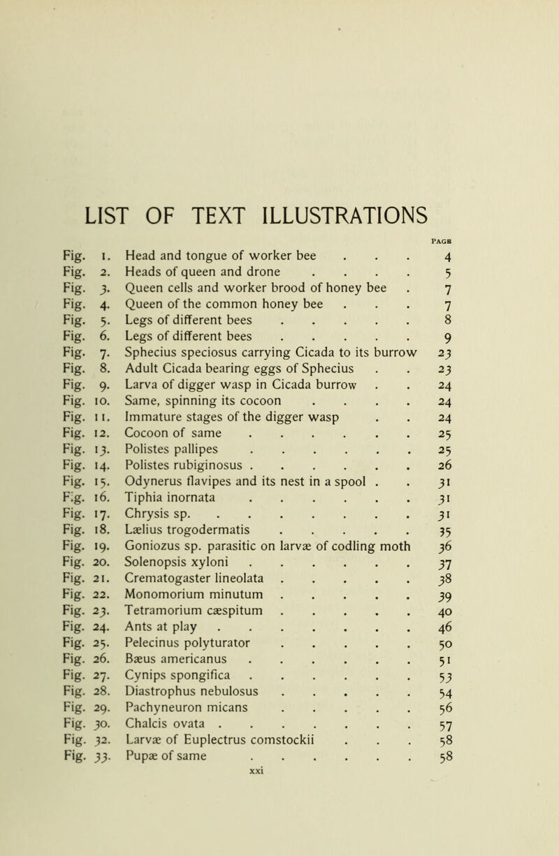 LIST OF TEXT ILLUSTRATIONS PAGB Fig- i. Head and tongue of worker bee 4 Fig. 2. Heads of queen and drone .... 5 Fig- 3- Queen cells and worker brood of honey bee 7 Fig- 4- Queen of the common honey bee 7 Fig. 5- Legs of different bees 8 Fig. 6. Legs of different bees 9 Fig- 7- Sphecius speciosus carrying Cicada to its burrow 23 Fig- 8. Adult Cicada bearing eggs of Sphecius 23 Fig- 9- Larva of digger wasp in Cicada burrow 24 Fig- IO. Same, spinning its cocoon .... 24 Fig- 11. Immature stages of the digger wasp 24 Fig- 12. Cocoon of same 25 Fig- 13- Polistes pallipes 25 Fig- >4- Polistes rubiginosus 26 Fig. >5- Odynerus flavipes and its nest in a spool . 3i Fig- 16. Tiphia inornata 31 Fig. 17- Chrysis sp 3i Fig. 18. Laelius trogodermatis 35 Fig. >9- Goniozus sp. parasitic on larvae of codling moth 36 Fig. 20. Solenopsis xyloni 37 Fig- 21. Crematogaster lineolata 38 Fig- 22. Monomorium minutum 39 Fig- 23. Tetramorium caespitum 40 Fig. 24. Ants at play 46 Fig- 25. Pelecinus polyturator 50 Fig- 26. Baeus americanus 5i Fig- 27. Cynips spongifica 53 Fig- 28. Diastrophus nebulosus 54 Fig- 29. Pachyneuron micans 56 Fig- 30. Chalcis ovata 57 Fig- 32. Larvae of Euplectrus comstockii 58 Fig. 33- Pupae of same 58