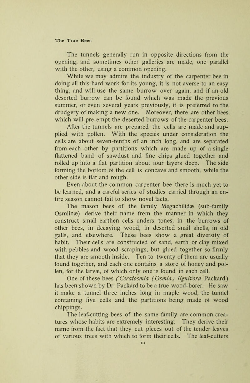 The tunnels generally run in opposite directions from the opening, and sometimes other galleries are made, one parallel with the other, using a common opening. While we may admire the industry of the carpenter bee in doing all this hard work for its young, it is not averse to an easy thing, and will use the same burrow over again, and if an old deserted burrow can be found which was made the previous summer, or even several years previously, it is preferred to the drudgery of making a new one. Moreover, there are other bees which will pre-empt the deserted burrows of the carpenter bees. After the tunnels are prepared the cells are made and sup- plied with pollen. With the species under consideration the cells are about seven-tenths of an inch long, and are separated from each other by partitions which are made up of a single flattened band of sawdust and fine chips glued together and rolled up into a flat partition about four layers deep. The side forming the bottom of the cell is concave and smooth, while the other side is flat and rough. Even about the common carpenter bee there is much yet to be learned, and a careful series of studies carried through an en- tire season cannot fail to show novel facts. The mason bees of the family Megachilidae (sub-family Osmiinae) derive their name from the manner in which they construct small earthen cells unders tones, in the burrows of other bees, in decaying wood, in deserted snail shells, in old galls, and elsewhere. These bees show a great diversity of habit. Their cells are constructed of sand, earth or clay mixed with pebbles and wood scrapings, but glued together so firmly that they are smooth inside. Ten to twenty of them are usually found together, and each one contains a store of honey and pol- len, for the larvae, of which only one is found in each cell. One of these bees (Ceratosmia (Osmia) lignivora Packard) has been shown by Dr. Packard to be a true wood-borer. He saw it make a tunnel three inches long in maple wood, the tunnel containing five cells and the partitions being made of wood chippings. The leaf-cutting bees of the same family are common crea- tures whose habits are extremely interesting. They derive their name from the fact that they cut pieces out of the tender leaves of various trees with which to form their cells. The leaf-cutters