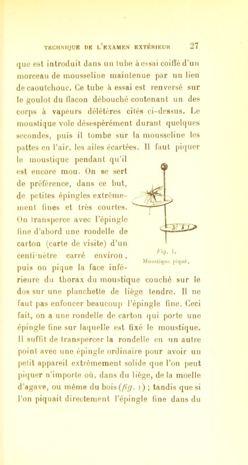 que est introduit dans un lube à essai coilïé d’un morceau de mousseline maintenue par un lien de caoutchouc. Ce tube à essai est renversé sur le goulot du llacon débouché contenant un des corps à vapeurs délétères cités ci-dessus. Le moustique vole désespérément durant quelques secondes, puis il tombe sur la mousseline les pattes en l’air, les ailes écartées. 11 faut piquer le moustique pendant qu’il est encore mou. On se sert de préférence, dans ce but, de petites épingles extrême- ment fines et très courtes. On transperce avec l’épingle (ine d’abord une rondelle de carton (carte de visite) d’un centimètre carré environ , Mousliqtuj pKjué, puis on pique la face infé- rieure du tborax du moustique couché sur le dos sur une planchette de liège tendre. II ne faut pas enfoncer beaucou[> l’épingle fine. Ceci fait, on a une rondelle de carton qui porte une épingle fine sur laquelle est fixé le moustique. Il suffit de transpercer la rondelle en un autre point avec une épingle ordinaire pour avoir un petit appareil extrêmement solide que l’on peut piquer n’importe où, dans du liège, de la moelle d’agave, ou même du bois (fig. i) ; tandis que si l’on piquait directement l’épingle fine dans du
