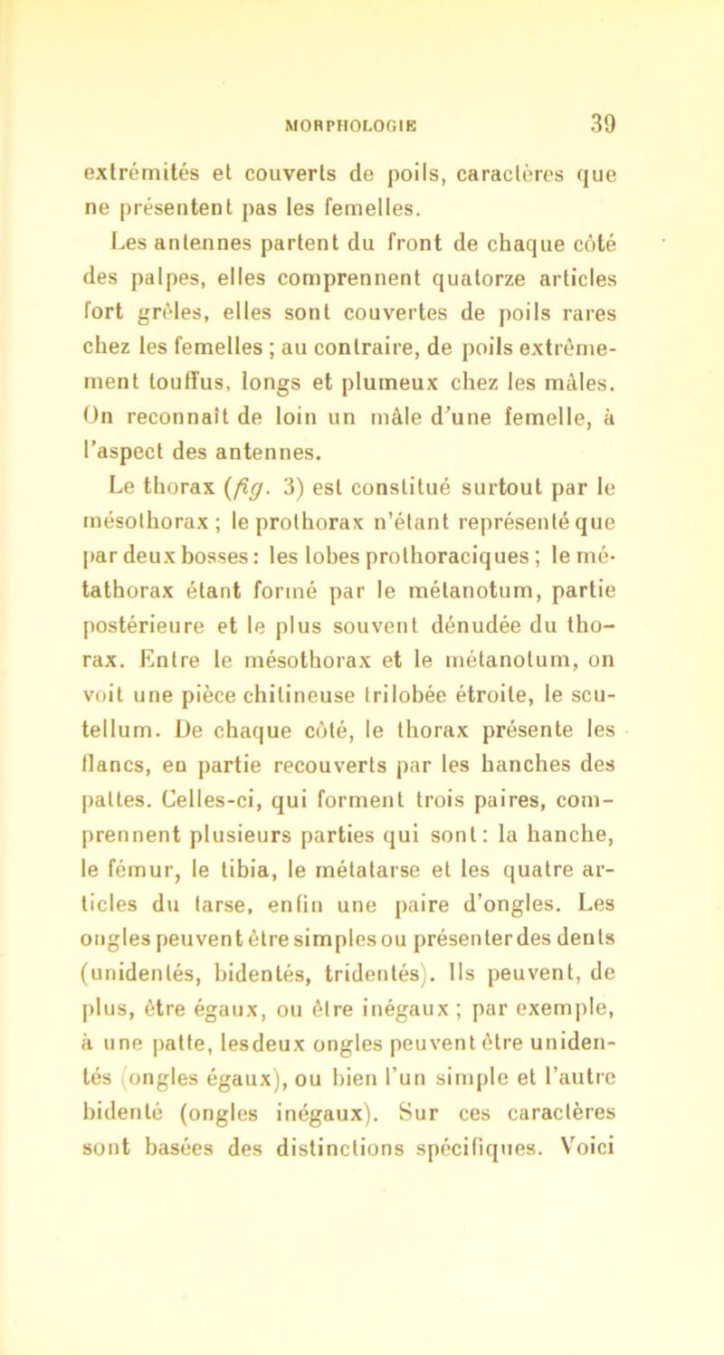 extrémités et couverts de poils, caractères que ne présentent pas les femelles. Les antennes partent du front de chaque côté des palpes, elles comprennent quatorze articles fort grêles, elles sont couvertes de poils rares chez les femelles ; au contraire, de poils extrême- ment touffus, longs et plumeux chez les mâles. On reconnaît de loin un mâle d’une femelle, à l’aspect des antennes. Le thorax {fig. 3) est constitué surtout par le mésothorax; leprolhorax n’étant représenté que par deux hosses: les lohes prolhoraciques ; le rné- tathorax étant formé par le métanotum, partie postérieure et le plus souvent dénudée du tho- rax. Entre le mésothorax et le métanotum, on voit une pièce chitineuse trilobée étroite, le scu- tellum. De chaque côté, le thorax présente les lianes, en partie recouverts par les hanches des pattes. Celles-ci, qui forment trois paires, com- prennent plusieurs parties qui sont: la hanche, le fémur, le tihia, le métatarse et les quatre ar- ticles du tarse, en lin une paire d’ongles. Les ongles peuventêlresimplesou présenter des dents (unidentés, hidentés, tridentés). Ils peuvent, de plus, être égaux, ou être inégaux ; par exemple, à une patte, lesdeux ongles peuvent être uniden- lés (ongles égaux), ou bien l’un simple et l’autre hidenlé (ongles inégaux). Sur ces caractères sont basées des distinctions spécifiques. V’oici