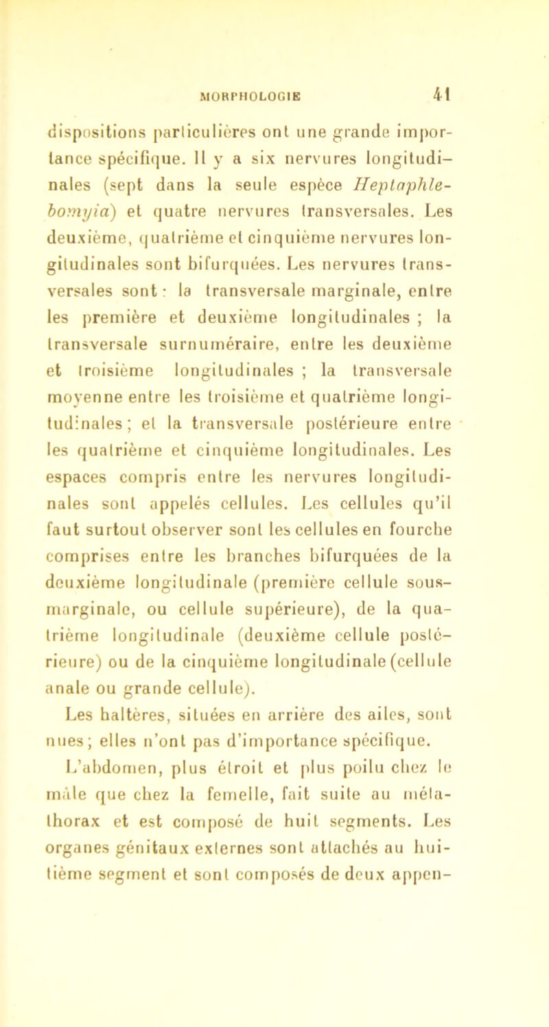 dispositions parliculières ont une grande im|)or- lance spécifique. Il y a six nervures longitudi- nales (sept dans la seule espèce Heplaphle- bomyia) et quatre nervures Iransversales. Les deu.xième, quatrième et cinquième nervures lon- gitudinales sont bifurquées. Les nervures trans- versales sont • la transversale marginale, entre les première et deuxième longitudinales ; la transversale surnuméraire, entre les deuxième et troisième longitudinales ; la transversale moyenne entre les troisième et quatrième longi- tudinales; et la transversale postérieure entre les quatrième et cinquième longitudinales. Les espaces compris entre les nervures longitudi- nales sont appelés cellules. Les cellules qu’il faut surtout observer sont les cellules en fourche comprises entre les branches bifurquées de la deuxième longitudinale (première cellule sous- marginale, ou cellule supérieure), de la qua- trième longitudinale (deuxième cellule posté- rieure) ou de la cinquième longitudinale (cellule anale ou grande cellule). Les haltères, situées en arrière des ailes, sont nues; elles n’ont pas d’importance spécifique. L’abdomen, plus étroit et plus poilu cbe/. le mâle que chez la femelle, fait suite au méla- thorax et est composé de huit segments. Les organes génitaux externes sont attachés au hui- tième segment et sont composés de deux appen-