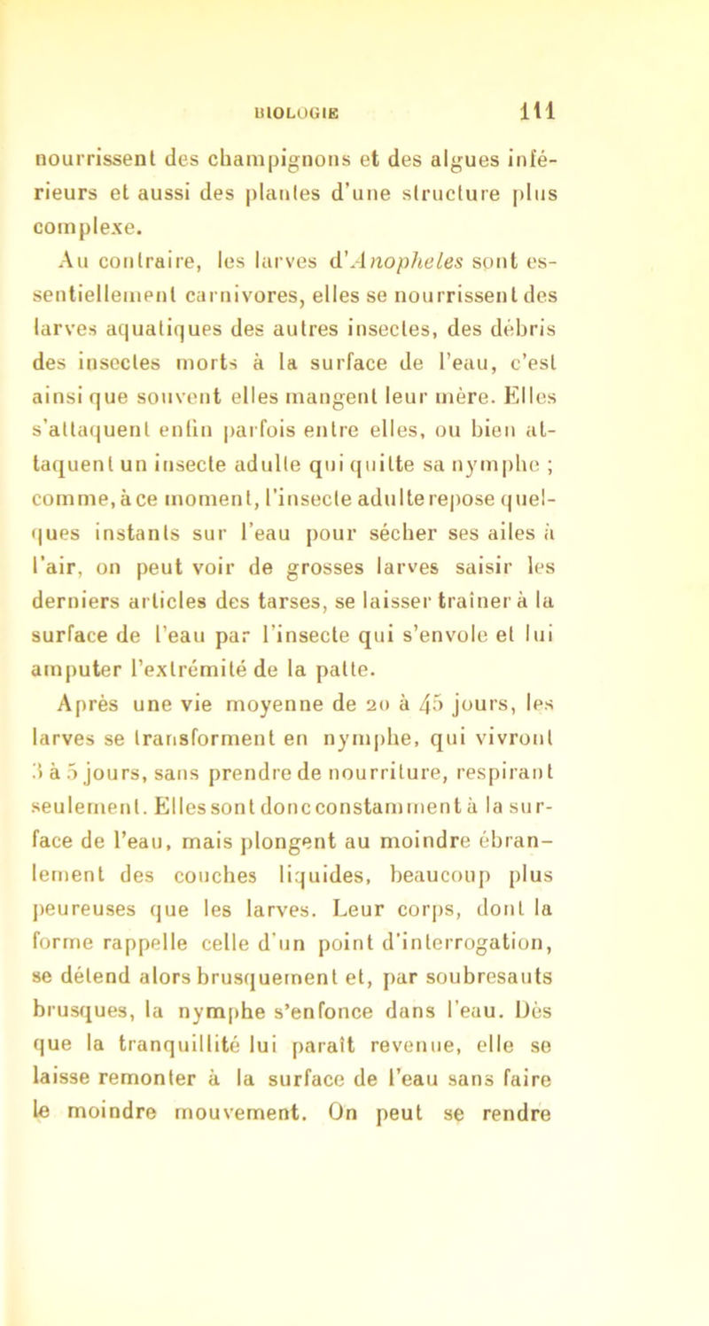 nourrissent des champignons et des algues infé- rieurs et aussi des |dan(es d’une structure plus complexe. Au contraire, les larves A'Anopheles sont es- sentiellement carnivores, elles se nourrissent des larves aquatiques des autres insectes, des débris des insectes morts à la surface de l’eau, c’est ainsi que souvent elles mangent leur mère. Elles s’attaquent enfin parfois entre elles, ou bien at- taquent un insecte adulte qui quitte sa nymphe ; comme,àce moment, l’insecte adulte repose quel- ques instants sur l’eau pour sécher ses ailes à l’air, on peut voir de grosses larves saisir les derniers articles des tarses, se laisser traîner à la surface de l’eau par l’insecte qui s’envole et lui amputer l’extrémité de la patte. Après une vie moyenne de 20 à 45 jours, les larves se transforment en nymphe, qui vivront 15 à 5 jours, sans prendre de nourriture, respirant seulement. Elles sont doncconstamment à la sur- face de l’eau, mais plongent au moindre ébran- lement des couches liquides, beaucoup plus peureuses que les larves. Leur corps, dont la forme rappelle celle d'un point d’interrogation, se détend alors brusquement et, i>ar soubresauts brusques, la nymphe s’enfonce dans l’eau. Dès que la tranquillité lui paraît revenue, elle se laisse remonter à la surface de l’eau sans faire le moindre mouvement. On peut se rendre