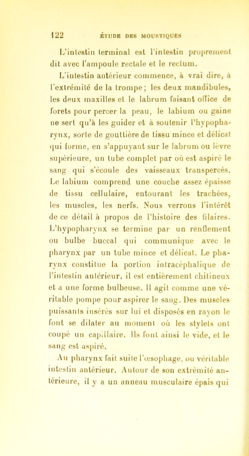 L’intestin terminal est l’intestin proprement dit avec l’ampoule rectale et le rectum. L’intestin antérieur commence, à vrai dire, à l’extrémité de la trompe; les deux mandibules, les deux maxilles et le labrum faisant olTice de forets pour percer la peau, le labium ou gaine ne sert qu’à les guider et à soutenir l’hypopha- rynx, sorte de gouttière de tissu mince et délicat ([ui forme, en s’appuyant sur le labrum ou lèvre supérieure, un tube complet par où est aspiré le sang qui s’écoule des vaisseaux transpercés. l.,e labium comprend une coucbe assez épaisse de tissu cellulaire, entourant les trachées, les muscles, les nerfs. Nous verrons l'intérêt de ce détail à propos de l’histoire des filaires. L’hypopharynx se termine par un renflement ou bulbe buccal qui communique avec le pharynx par un tube mince et délicat. Le pha- rynx constitue la portion intracéphalique de l’intestin antérieur, il est entièrement chitineux et a une forme bulbeuse. 11 agit comme une vé- ritable |)omj)e pour aspirer le sang. Des muscles puissants insérés sur lui et disposés en ravon le font se dilater au moment où les stylets ont coupé un capillaire. Us font ainsi le vide, et le sang est aspiré. Au pharynx fait suite l’œsophage, ou véritable intestin antérieur. Autour de son extrémité an- térieure, il y a un anneau musculaire épais qui
