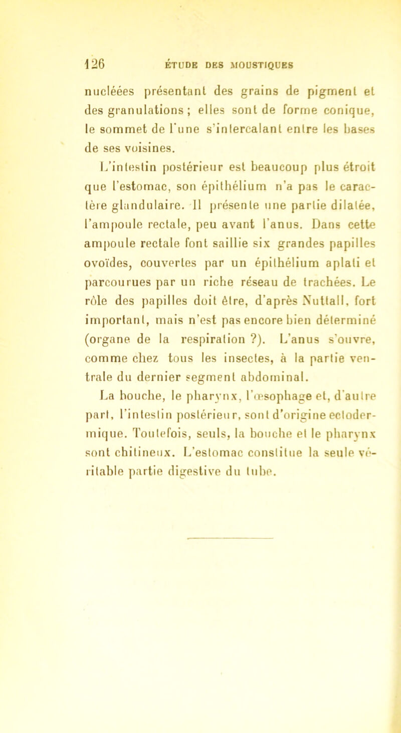 nucléées présentant des grains de pigment et des granulations ; elles sont de forme conique, le sommet de l'une s’intercalant entre les hases de ses voisines. L’intestin postérieur est beaucoup plus étroit que l’estomac, son épithélium n’a pas le carac- tère glandulaire. Il présente une partie dilatée, l’am|)oule rectale, peu avant l’anus. Dans cette ampoule rectale font saillie six grandes papilles ovoïdes, couvertes par un épithélium aplati et parcourues par un riche réseau de trachées. Le rôle des papilles doit être, d’après Nuttall, fort important, mais n’est pas encore bien déterminé (organe de la respiration ?). L’anus s’ouvre, comme chez tous les insectes, à la partie ven- trale du dernier segment abdominal. La bouche, le pharvnx, l’œsophage et, d'autre part, l’intestin postérieur, sont d’origine ectoder- mique. Toutefois, seuls, la bouche et le pharynx sont chitineiix. L’estomac constitue la seule vé- ritable partie digestive du tube.
