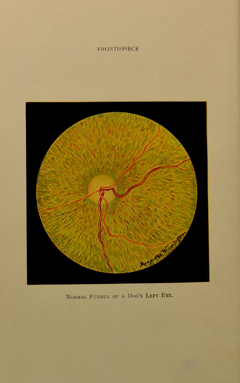 FRONTISPIECE Normal Fundus of a Dog’s Left Eye.