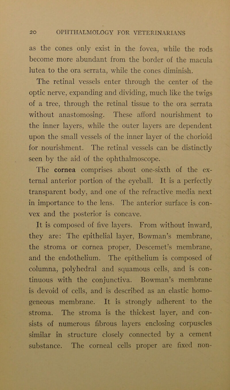 as the cones only exist in the fovea, while the rods become more abundant from the border of the macula lutea to the ora serrata, while the cones diminish. The retinal vessels enter through the center of the optic nerve, expanding and dividing, much like the twigs of a tree, through the retinal tissue to the ora serrata without anastomosing. These afford nourishment to the inner layers, while the outer layers are dependent upon the small vessels of the inner layer of the chorioid for nourishment. The retinal vessels can be distinctly seen by the aid of the ophthalmoscope. The cornea comprises about one-sixth of the ex- ternal anterior portion of the eyeball. It is a perfectly transparent body, and one of the refractive media next in importance to the lens. The anterior surface is con- vex and the posterior is concave. It is composed of five layers. From without inward, they are: The epithelial layer, Bowman’s membrane, the stroma or cornea proper, Descemet’s membrane, and the endothelium. The epithelium is composed of columna, polyhedral and squamous cells, and is con- tinuous with the conjunctiva. Bowman’s membrane is devoid of cells, and is described as an elastic homo- geneous membrane. It is strongly adherent to the stroma. The stroma is the thickest layer, and con- sists of numerous fibrous layers enclosing corpuscles similar in structure closely connected by a cement substance. The corneal cells proper are fixed non-