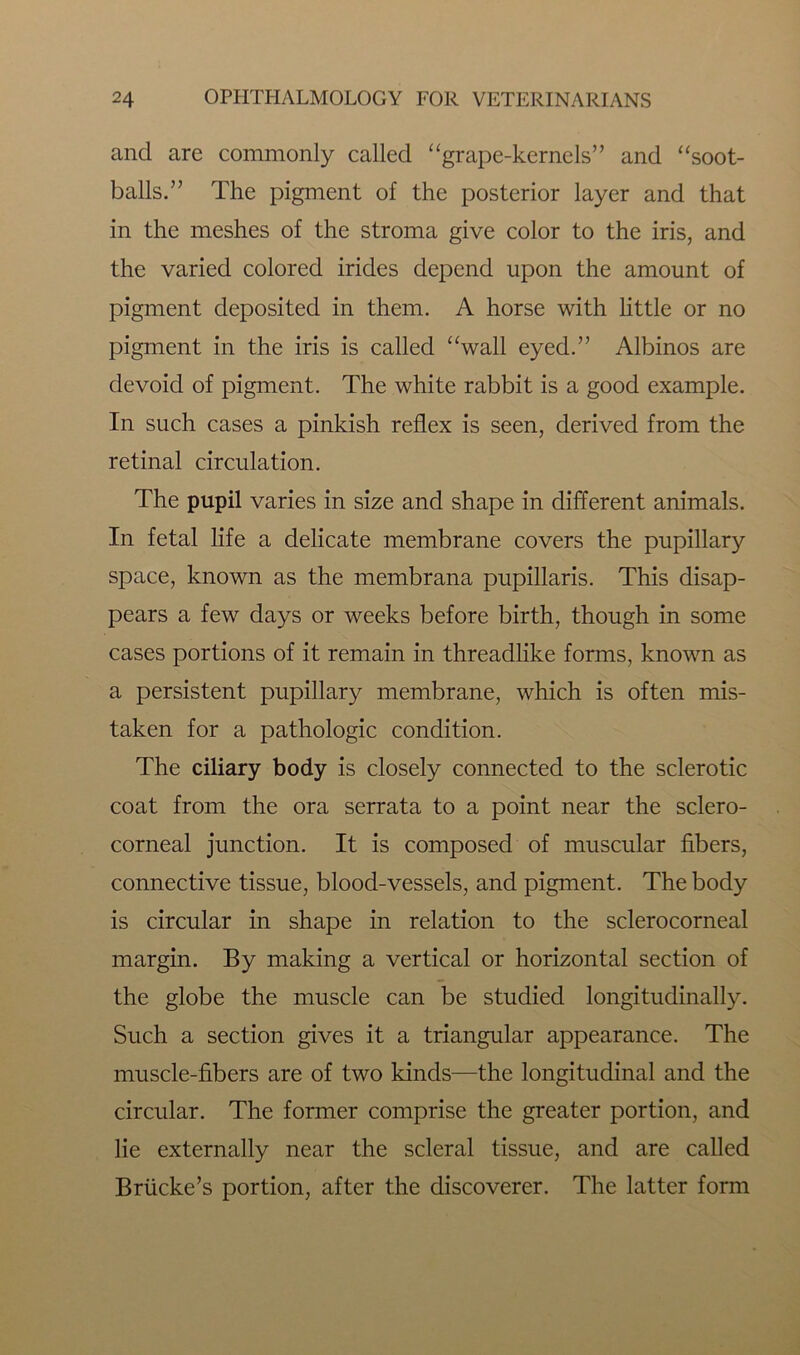 and are commonly called “grape-kernels” and “soot- balls.” The pigment of the posterior layer and that in the meshes of the stroma give color to the iris, and the varied colored irides depend upon the amount of pigment deposited in them. A horse with little or no pigment in the iris is called “wall eyed.” Albinos are devoid of pigment. The white rabbit is a good example. In such cases a pinkish reflex is seen, derived from the retinal circulation. The pupil varies in size and shape in different animals. In fetal life a delicate membrane covers the pupillary space, known as the membrana pupillaris. This disap- pears a few days or weeks before birth, though in some cases portions of it remain in threadlike forms, known as a persistent pupillary membrane, which is often mis- taken for a pathologic condition. The ciliary body is closely connected to the sclerotic coat from the ora serrata to a point near the sclero- corneal junction. It is composed of muscular fibers, connective tissue, blood-vessels, and pigment. The body is circular in shape in relation to the sclerocorneal margin. By making a vertical or horizontal section of the globe the muscle can be studied longitudinally. Such a section gives it a triangular appearance. The muscle-fibers are of two kinds—the longitudinal and the circular. The former comprise the greater portion, and lie externally near the scleral tissue, and are called Briicke’s portion, after the discoverer. The latter form