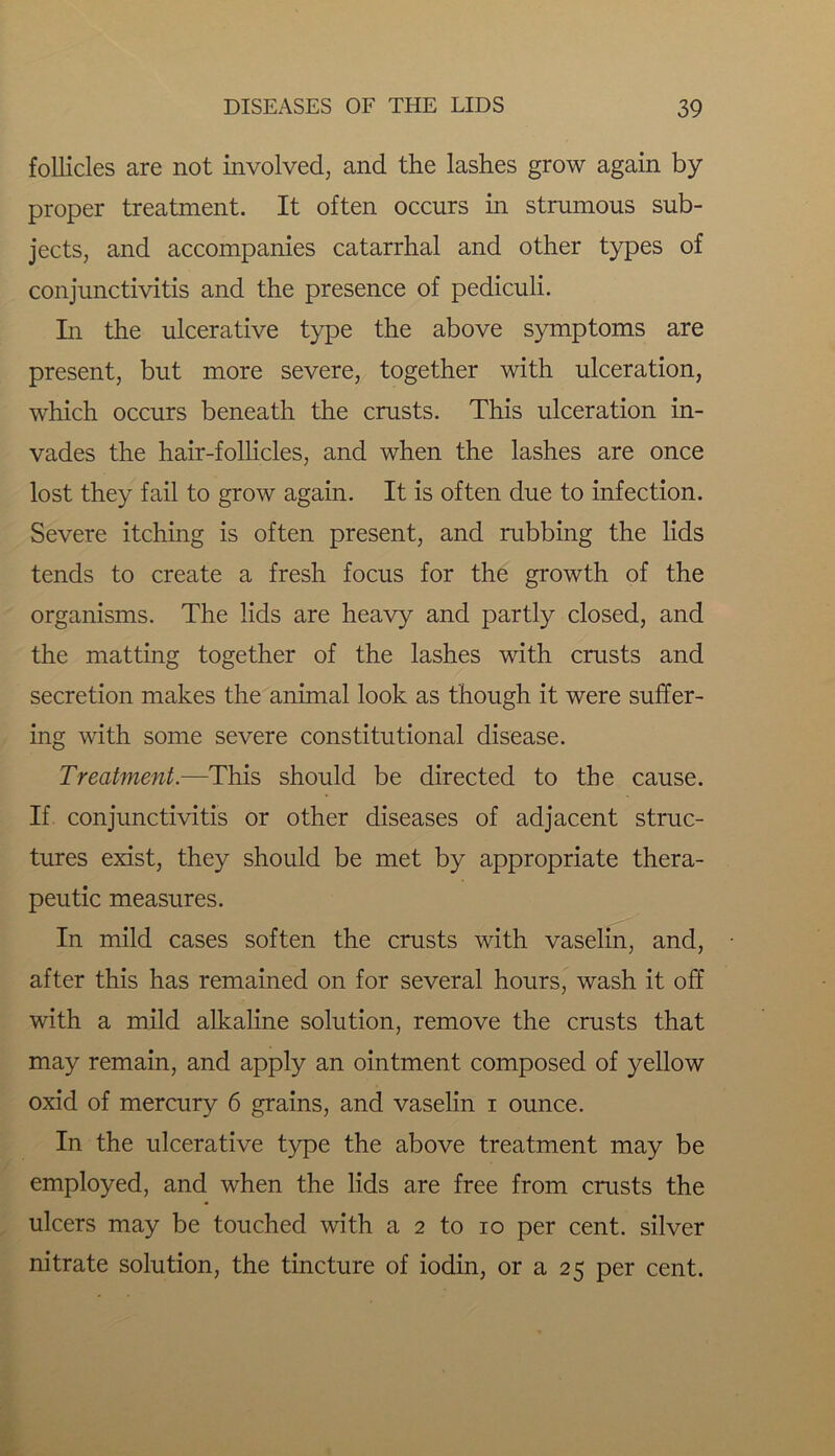 follicles are not involved, and the lashes grow again by proper treatment. It often occurs in strumous sub- jects, and accompanies catarrhal and other types of conjunctivitis and the presence of pediculi. In the ulcerative type the above symptoms are present, but more severe, together with ulceration, which occurs beneath the crusts. This ulceration in- vades the hair-follicles, and when the lashes are once lost they fail to grow again. It is often due to infection. Severe itching is often present, and rubbing the lids tends to create a fresh focus for the growth of the organisms. The lids are heavy and partly closed, and the matting together of the lashes with crusts and secretion makes the animal look as though it were suffer- ing with some severe constitutional disease. Treatment.—This should be directed to the cause. If conjunctivitis or other diseases of adjacent struc- tures exist, they should be met by appropriate thera- peutic measures. In mild cases soften the crusts with vaselin, and, after this has remained on for several hours, wash it off with a mild alkaline solution, remove the crusts that may remain, and apply an ointment composed of yellow oxid of mercury 6 grains, and vaselin i ounce. In the ulcerative type the above treatment may be employed, and when the lids are free from crusts the ulcers may be touched with a 2 to 10 per cent, silver nitrate solution, the tincture of iodin, or a 25 per cent.