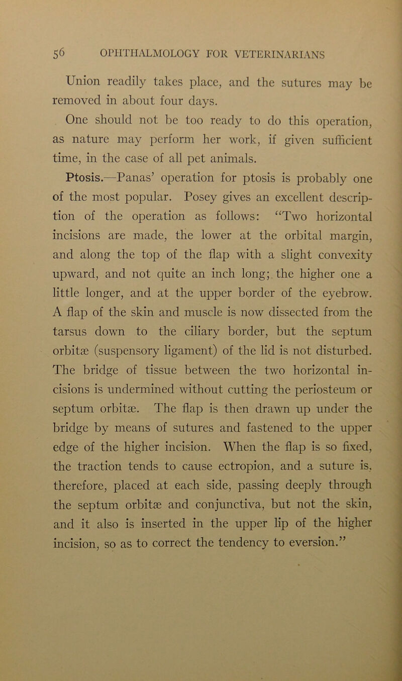 Union readily takes place, and the sutures may be removed in about four days. One should not be too ready to do this operation, as nature may perform her work, if given sufficient time, in the case of all pet animals. Ptosis.—Panas’ operation for ptosis is probably one of the most popular. Posey gives an excellent descrip- tion of the operation as follows: “Two horizontal incisions are made, the lower at the orbital margin, and along the top of the flap with a slight convexity upward, and not quite an inch long; the higher one a little longer, and at the upper border of the eyebrow. A flap of the skin and muscle is now dissected from the tarsus down to the ciliary border, but the septum orbitse (suspensory ligament) of the lid is not disturbed. The bridge of tissue between the two horizontal in- cisions is undermined without cutting the periosteum or septum orbitae. The flap is then drawn up under the bridge by means of sutures and fastened to the upper edge of the higher incision. When the flap is so fixed, the traction tends to cause ectropion, and a suture is, therefore, placed at each side, passing deeply through the septum orbitas and conjunctiva, but not the skin, and it also is inserted in the upper lip of the higher incision, so as to correct the tendency to eversion.”