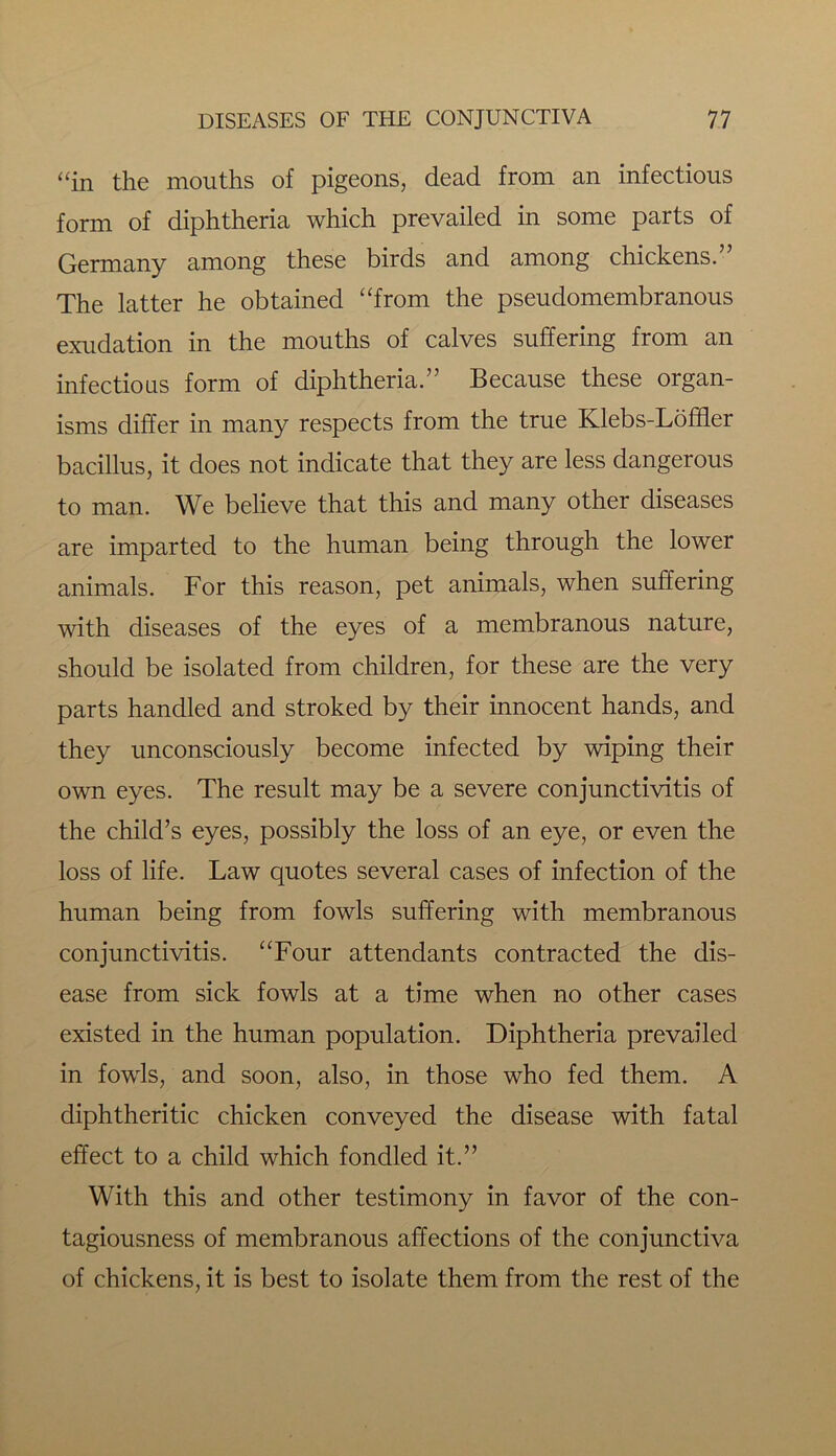 “in the mouths of pigeons, dead from an infectious form of diphtheria which prevailed in some parts of Germany among these birds and among chickens.” The latter he obtained “from the pseudomembranous exudation in the mouths of calves suffering from an infectious form of diphtheria.” Because these organ- isms differ in many respects from the true Klebs-Loffler bacillus, it does not indicate that they are less dangerous to man. We believe that this and many other diseases are imparted to the human being through the lower animals. For this reason, pet animals, when suffering with diseases of the eyes of a membranous nature, should be isolated from children, for these are the very parts handled and stroked by their innocent hands, and they unconsciously become infected by wiping their own eyes. The result may be a severe conjunctivitis of the child’s eyes, possibly the loss of an eye, or even the loss of life. Law quotes several cases of infection of the human being from fowls suffering with membranous conjunctivitis. “Four attendants contracted the dis- ease from sick fowls at a time when no other cases existed in the human population. Diphtheria prevailed in fowls, and soon, also, in those who fed them. A diphtheritic chicken conveyed the disease with fatal effect to a child which fondled it.” With this and other testimony in favor of the con- tagiousness of membranous affections of the conjunctiva of chickens, it is best to isolate them from the rest of the