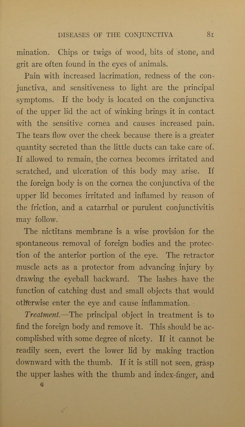 ruination. Chips or twigs of wood, bits of stone, and grit are often found in the eyes of animals. Pain with increased lacrimation, redness of the con- junctiva, and sensitiveness to light are the principal symptoms. If the body is located on the conjunctiva of the upper lid the act of winking brings it in contact with the sensitive cornea and causes increased pain. The tears flow over the cheek because there is a greater quantity secreted than the little ducts can take care of. If allowed to remain, the cornea becomes irritated and scratched, and ulceration of this body may arise. If the foreign body is on the cornea the conjunctiva of the upper lid becomes irritated and inflamed by reason of the friction, and a catarrhal or purulent conjunctivitis may follow. The nictitans membrane is a wise provision for the spontaneous removal of foreign bodies and the protec- tion of the anterior portion of the eye. The retractor muscle acts as a protector from advancing injury by drawing the eyeball backward. The lashes have the function of catching dust and small objects that would otherwise enter the eye and cause inflammation. Treatment.—The principal object in treatment is to find the foreign body and remove it. This should be ac- complished with some degree of nicety. If it cannot be readily seen, evert the lower lid by making traction downward with the thumb. If it is still not seen, grasp the upper lashes with the thumb and index-finger, and 6
