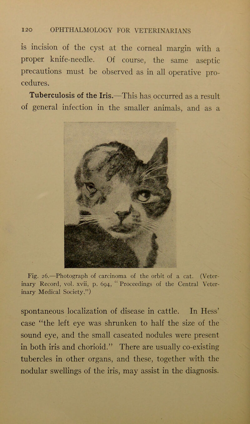 is incision of the cyst at the corneal margin with a proper knife-needle. Of course, the same aseptic precautions must be observed as in all operative pro- cedures. Tuberculosis of the Iris.—This has occurred as a result of general infection in the smaller animals, and as a Fig. 26.—Photograph of carcinoma of the orbit of a cat. (Veter- inary Record, vol. xvii, p. 694, “ Proceedings of the Central Veter- inary Medical Society.”) spontaneous localization of disease in cattle. In Hess’ case “the left eye was shrunken to half the size of the sound eye, and the small caseated nodules were present in both iris and chorioid.” There are usually co-existing tubercles in other organs, and these, together with the nodular swellings of the iris, may assist in the diagnosis.