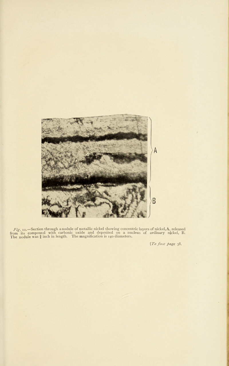 Fig. xi.—Section through a nodule of metallic nickel showing concentric layers of nickel, A. released from its compound with carbonic oxide and deposited on a nucleus of ordinary nickel, B. The nodule was $ inch in length. The magnification is 140 diameters. [ To face f>age 38.