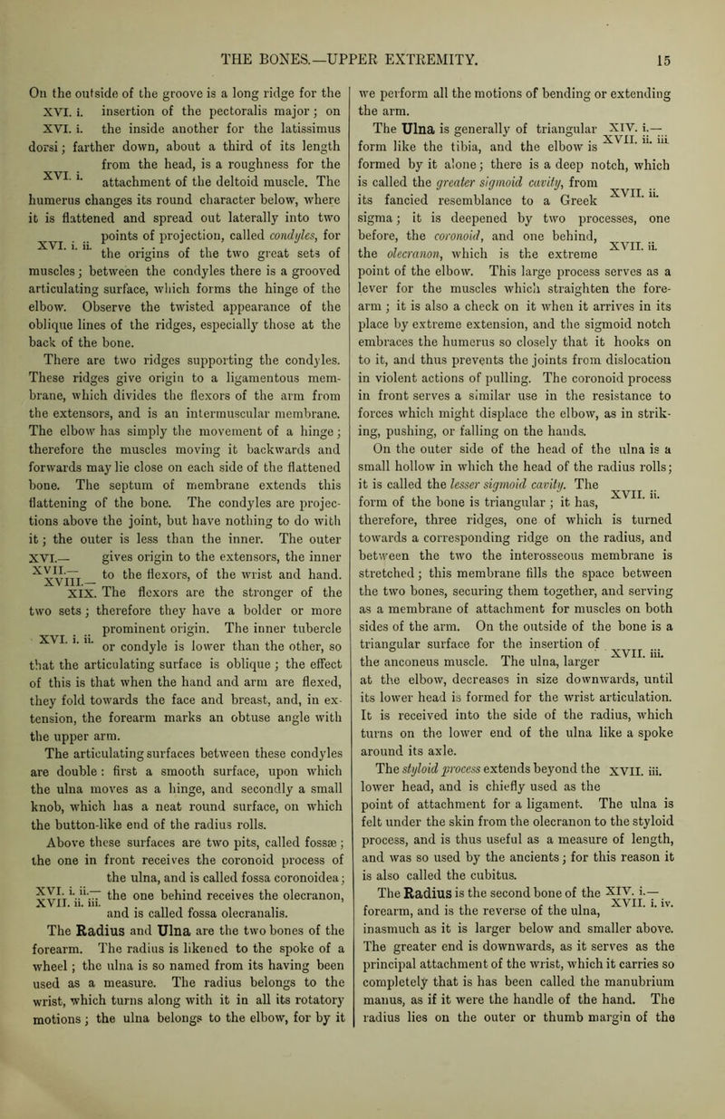xvi. i. ii. On the outside of the groove is a long ridge for the XVI. i. insertion of the pectoralis major; on XVI. i. the inside another for the latissimus dorsi; farther down, about a third of its length from the head, is a roughness for the XVI' attachment of the deltoid muscle. The humerus changes its round character below, where it is flattened and spread out laterally into two points of projection, called condyles, for the origins of the two great sets of muscles; between the condyles there is a grooved articulating surface, which forms the hinge of the elbow. Observe the twisted appearance of the oblique lines of the ridges, especially those at the back of the bone. There are two ridges supporting the condyles. These ridges give origin to a ligamentous mem- brane, which divides the flexors of the arm from the extensors, and is an intermuscular membrane. The elbow has simply the movement of a hinge; therefore the muscles moving it backwards and forwards may lie close on each side of the flattened bone. The septum of membrane extends this flattening of the bone. The condyles are projec- tions above the joint, but have nothing to do with it; the outer is less than the inner. The outer XVI.— gives origin to the extensors, the inner ^XVlTl ^,e flexors, of the wrist and hand. XIX. The flexors are the stronger of the two sets ; therefore they have a bolder or more prominent origin. The inner tubercle or condyle is lower than the other, so that the articulating surface is oblique ; the effect of this is that when the hand and arm are flexed, they fold towards the face and breast, and, in ex- tension, the forearm marks an obtuse angle with the upper arm. The articulating surfaces between these condyles are double : first a smooth surface, upon which the ulna moves as a hinge, and secondly a small knob, which has a neat round surface, on which the button-like end of the radius rolls. Above these surfaces are two pits, called fossae; the one in front receives the coronoid process of the ulna, and is called fossa coronoidea; $Y^l1\.11\77 the one behind receives the olecranon, and is called fossa olecranalis. The Radius and Ulna are the two bones of the forearm. The radius is likened to the spoke of a wheel ; the ulna is so named from its having been used as a measure. The radius belongs to the wrist, which turns along with it in all its rotatory motions ; the ulna belongs to the elbow, for by it XVI. i. ii. we perform all the motions of bending or extending the arm. The Ulna is generally of triangular XIV. i.— form like the tibia, and the elbow is ^ formed by it alone; there is a deep notch, which is called the greater sigmoid cavity, from its fancied resemblance to a Greek XVII. ii. sigma; it is deepened by two processes, one before, the coronoid, and one behind, the olecranon, which is the extreme  'n' point of the elbow. This large process serves as a lever for the muscles which straighten the fore- arm ; it is also a check on it when it arrives in its place by extreme extension, and the sigmoid notch embraces the humerus so closely that it hooks on to it, and thus prevents the joints from dislocation in violent actions of pulling. The coronoid process in front serves a similar use in the resistance to forces which might displace the elbow, as in strik- ing, pushing, or falling on the hands. On the outer side of the head of the ulna is a small hollow in which the head of the radius rolls; it is called the lesser sigmoid cavity. The form of the bone is triangular ; it has, therefore, three ridges, one of which is turned towards a corresponding ridge on the radius, and between the two the interosseous membrane is stretched; this membrane fills the space between the two bones, securing them together, and serving as a membrane of attachment for muscles on both sides of the arm. On the outside of the bone is a XVII. ii. triangular surface for the insertion of XVII. iii. the anconeus muscle. The ulna, larger at the elbow, decreases in size downwards, until its lower head is formed for the wrist articulation. It is received into the side of the radius, which turns on the lower end of the ulna like a spoke around its axle. The styloid process extends beyond the XVII. iii. lower head, and is chiefly used as the point of attachment for a ligament. The ulna is felt under the skin from the olecranon to the styloid process, and is thus useful as a measure of length, and was so used by the ancients; for this reason it is also called the cubitus. The Radius is the second bone of the XIV. i.— forearm, and is the reverse of the ulna, “ • n n. inasmuch as it is larger below and smaller above. The greater end is downwards, as it serves as the principal attachment of the wrist, which it carries so completely that is has been called the manubrium manus, as if it were the handle of the hand. The radius lies on the outer or thumb margin of the