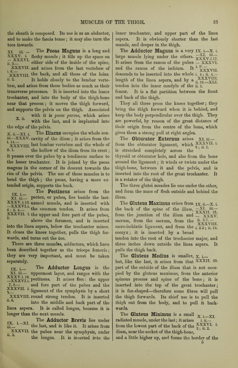 x. ii. the sheath is composed. Its use is as an abductor, and to make the fascia tense; it may also turn the toes inwards. XI. iii. — The Psoas Magnus is a long and XXXV. i. fleshy muscle: it fills up the space on XXXVI J 1 1 3 _ ' either side of the inside of the spine, XXXVII. and arises from the last vertebrae of ' XXXVIII. the back, and all those of the loins, ii- 2. It holds closely to the lumbar verte- brae, and arises from these bodies as much as their transverse processes. It is inserted into the lesser trochanter, and into the body of the thigh-bone near that process; it moves the thigh forward, and supports the pelvis on the thigh. Associated with it is psoas parvus, which arises with the last, and is implanted into the edge of the pelvis. X. ii.—XI. i. The Iliacus occupies the whole con- iii.—XXXV. cavity of the ilium ; it arises from the XXXVIII. ^as*' Mmbar vertebrae and the whole of u- 1- the hollow of the ilium from its crest; it passes over the pubes by a tendinous surface to the lesser trochanter. It is joined by the psoas magnus in the corner of its descent towards the rim of the pelvis. The use of these muscles is to bend the thigh; the psoas, having a more ex- tended origin, supports the back. . The Pectineus arises from the XI. iii.— pecten, or pubes, lies beside the last- XXXXVI ^ nameL* muscle> and is inserted with 6 ; ii. 4. . ’ ’ the common tendon. It arises from XXXVII. i. the upper and fore part of the pubes, above the foramen, and is inserted into the linea aspera, below the trochanter minor. It closes the knees together, pulls the thigh for- wards, and turns out the toe. There are three muscles, adductors, which have been described together as the triceps femoris; they are very important, and must be taken separately. IX. i._ The Adductor Longus is the XL iii.— uppermost layer, and ranges with the —XXXV11’Pecfcineus. It arises from the upper 7, 8.— and fore part of the pubes and the 3 __ ‘ I- ligament of the symphysis by a short XXXVIII. round strong tendon. It is inserted into the middle and back part of the linea aspera. It is called longus, because it is longer than the next muscle. IX i XI Tlie Adductor Brevis lies under ‘ ’ the last, and is like it. It arises from  XXXVII‘ ^e pubes near the symphysis, under the longus. It is inserted into the inner trochanter, and upper part of the linea aspera. It is obviously shorter than the last muscle, and deeper in the thigh. The Adductor Magnus is a very IX. i.—X. i. large muscle lying under the others. xxxv'i'iT It arises from the ramus of the pubes — XXXVI. and the ramus of the ischium. It i- XXXVII descends to be inserted into the whole i. 4; ii. 4.— length of the linea aspera, and by a tendon into the inner condyle of the ii. 5. femur. It is a flat partition between the front and back of the thigh. They all three press the knees together; they bring the thigh forward when it is behind, and keep the body perpendicular over the thigh. They are powerful, by reason of the great distance of their origin from the centre of the bone, which gives them a strong pull at right angles. The Obturator Externus arises xi. iii.— from the obturator ligament, which ’• i 8 ; n. 1. is stretched completely across the thyroid or obturator hole, and also from the bone around the ligament; it winds or twists under the thigh-bone, between it and the pelvis, and is inserted into the root of the great trochanter. It is a rotator of the thigh. The three glutei muscles lie one under the other, and form the mass of flesh outside and behind the ilium. The Gluteus Maximus arises from ix. ii.—x. i. the back of the spine of the ilium, —XI. iii.— from the junction of the ilium and _ xxxv! sacrum, from the sacrum, from the “• 3-7.— .... ’ XXXVIII. sacro-ischiatic ligament, and from the j. 2-5; ii. 14. coccyx; it is inserted by a broad tendon into the root of the trochanter major, and three inches down outside the linea aspera. It pulls the thigh back. The Gluteus Medius is smaller, X. but, like the last, it arises from that XXXII. 20. part of the outside of the ilium that is not occu- pied by the gluteus maximus, from the anterior spinous process and spine of the bone; it is inserted into the top of the great trochanter; it is fan-shaped—therefore some fibres will pull the thigh forwards. Its chief use is to pull the thigh out from the body, and to pull it back- wards. The Gluteus Minimus is a small x {_XI radiated muscle, under the last; it arises i. ii.— from the lowest part of the back of the YXXY1- *• ilium, near the socket of the thigh-bone, and a little higher up, and forms the border of the 5