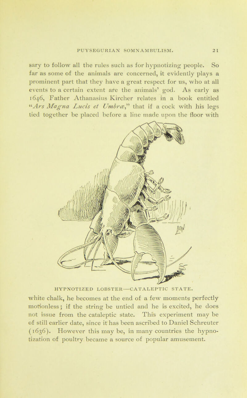 sary to follow all the rules such as for hypnotizing people. So far as some of the animals are concerned, it evidently plays a prominent part that they have a great respect for us, who at all events to a certain extent are the animals’ god. As early as 1646, Father Athanasius Kircher relates in a book entitled ilArs Magna Lticis et Umbrae,” that if a cock with his legs tied together be placed before a line made upon the floor with white chalk, he becomes at the end of a few moments perfectly motionless; if the string be untied and he is excited, he does not issue from the cataleptic state. This experiment may be of still earlier date, since it has been ascribed to Daniel Schreuter (1636). However this may be, in many countries the hypno- tization of poultry became a source of popular amusement.