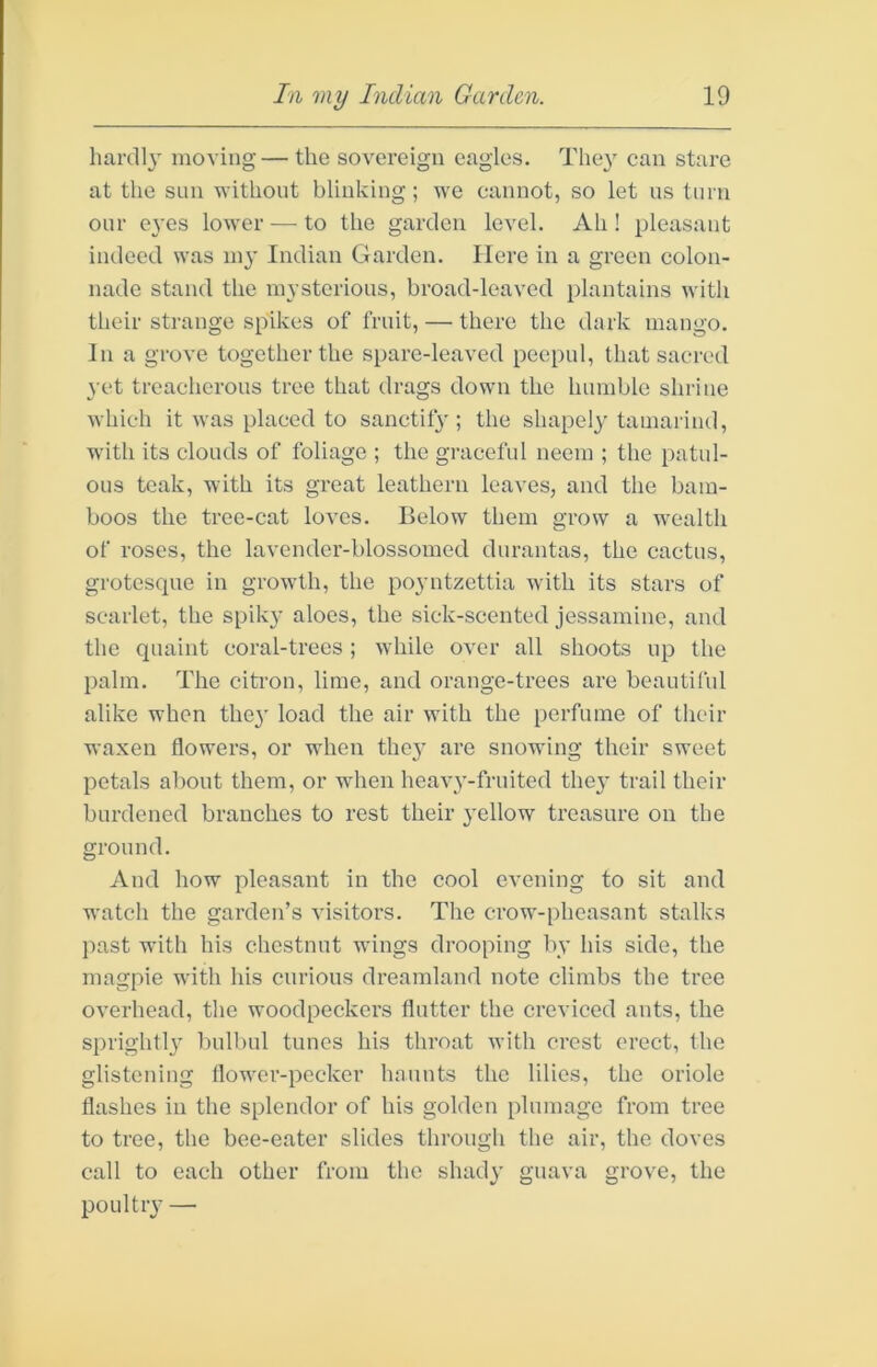 luirdh moving— the sovereign eagles. The}' can stare at the sun without blinking; we cannot, so let us turn our e}’es low’er — to the garden level. Ah! pleasant indeed was my Indian Garden. Here in a green colon- nade stand the mysterious, broad-leaved plantains with their strange spikes of fruit, — there the dark mango. In a grove together the spare-leaved peepul, that sacred yet treacherous tree that drags down the humble shrine which it was placed to sanctif3’; the shapely tamarind, with its clouds of foliage ; the gmceful neem ; the patul- ous teak, with its great leathern leaves, and the bam- boos the tree-cat loves. Below them grow a wealth of roses, the lavender-blossomed durantas, the cactus, grotesque in growth, the poyntzettia with its stars of scarlet, the spik}’ aloes, the sick-scented jessamine, and the quaint coral-trees; while over all shoots up the palm. The citi’on, lime, and orange-trees are beautiful alike when the}’ load the air with the perfume of their waxen flowers, or when they are snowing their sweet petals about them, or when heav}’-fruited the}’ trail their burdened branches to rest their yellow treasure on the ground. And how pleasant in the cool evening to sit and watch the garden’s visitors. The crow-pheasant stalks })ast with his chestnut wings drooping by his side, the magpie with his curious dreamland note climbs the tree overhead, the woodpeckers flutter the creviced ants, the sprightly bulbul tunes his throat with crest erect, the glistening flower-pecker haunts the lilies, the oriole flashes in the splendor of his golden plumage from tree to tree, the bee-eater slides through the air, the doves call to each other from the shady guava grove, the poultry —